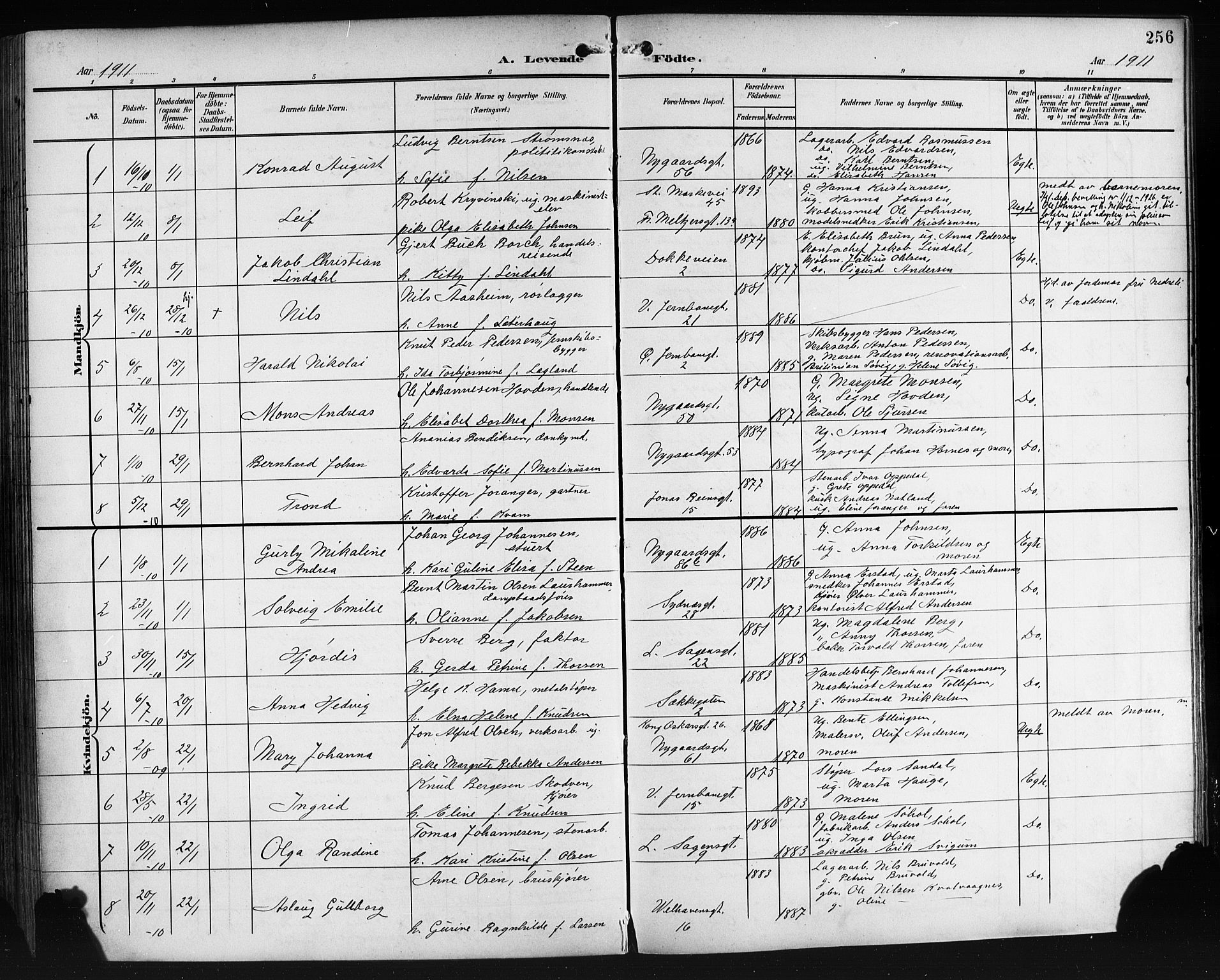 Johanneskirken sokneprestembete, SAB/A-76001/H/Hab: Parish register (copy) no. A 2, 1900-1912, p. 256