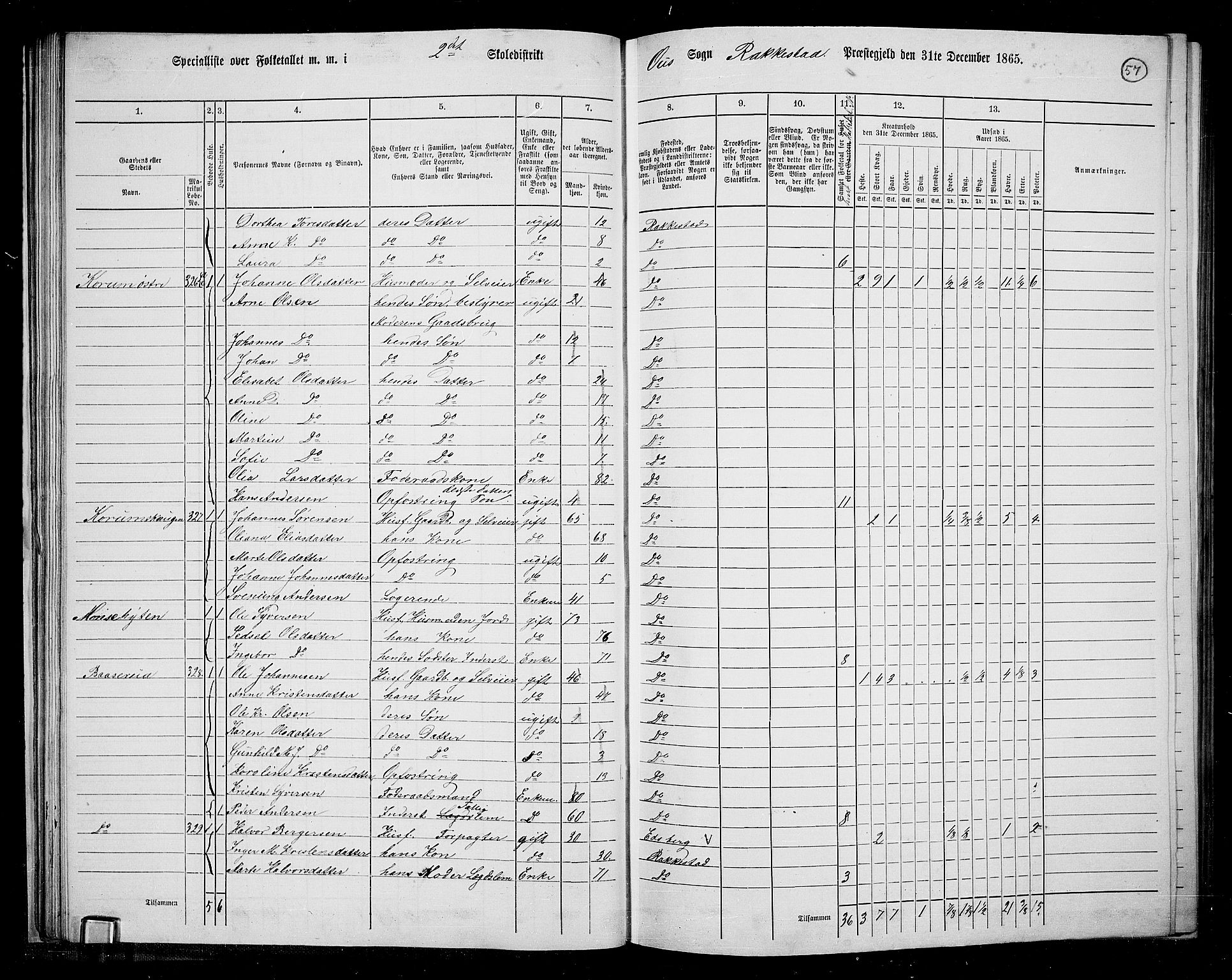 RA, 1865 census for Rakkestad, 1865, p. 56