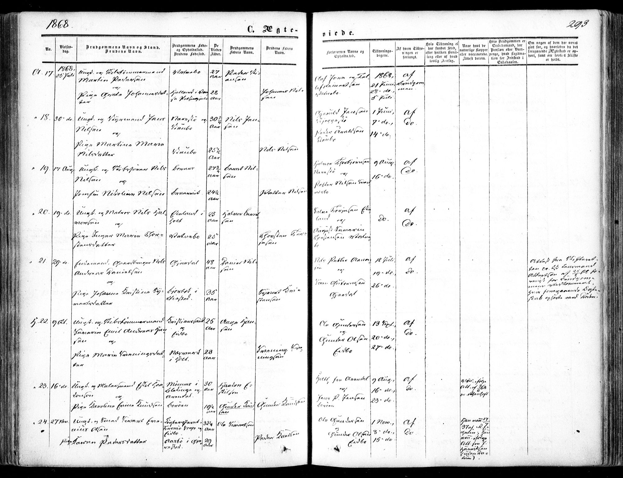 Dypvåg sokneprestkontor, SAK/1111-0007/F/Fa/Faa/L0006: Parish register (official) no. A 6, 1855-1872, p. 293