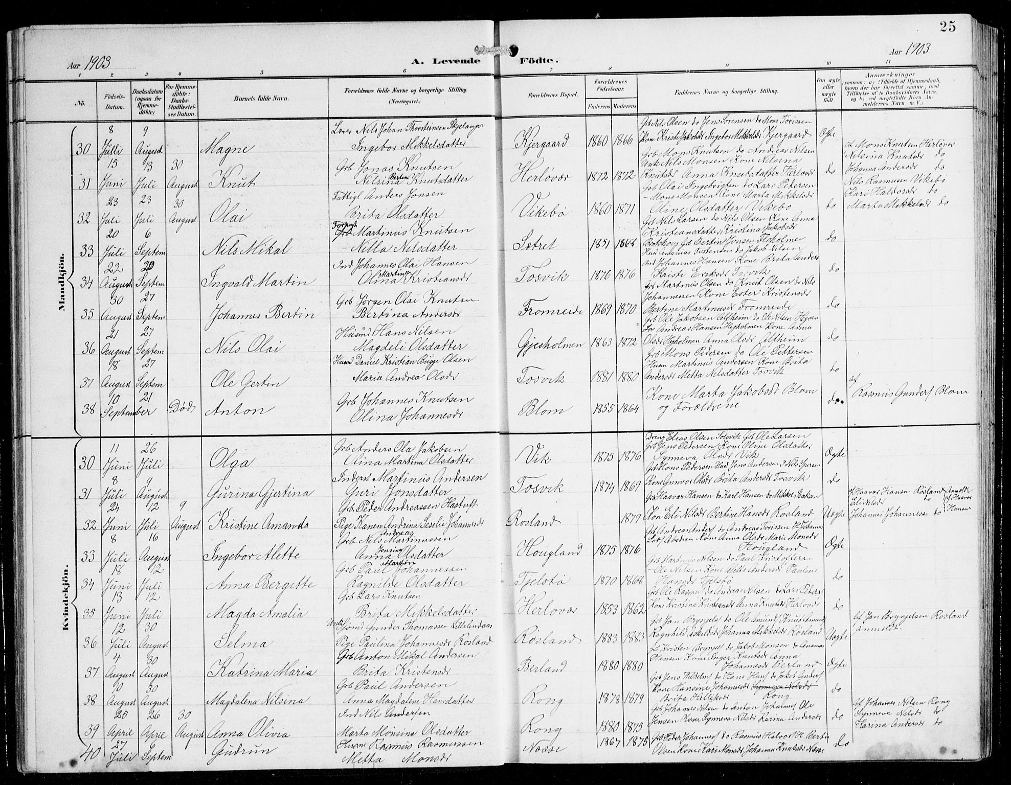Herdla Sokneprestembete, AV/SAB-A-75701/H/Hab: Parish register (copy) no. C 1, 1900-1913, p. 25