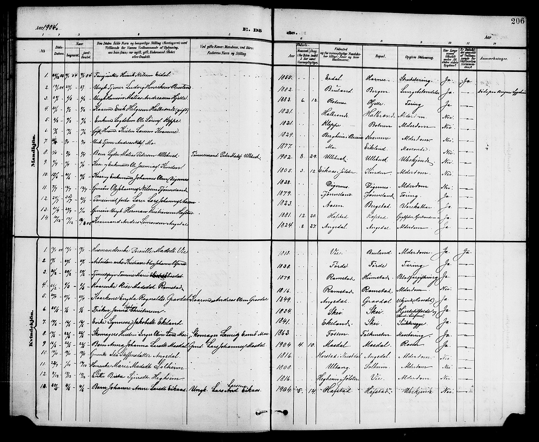 Førde sokneprestembete, SAB/A-79901/H/Hab/Haba/L0003: Parish register (copy) no. A 3, 1899-1924, p. 206