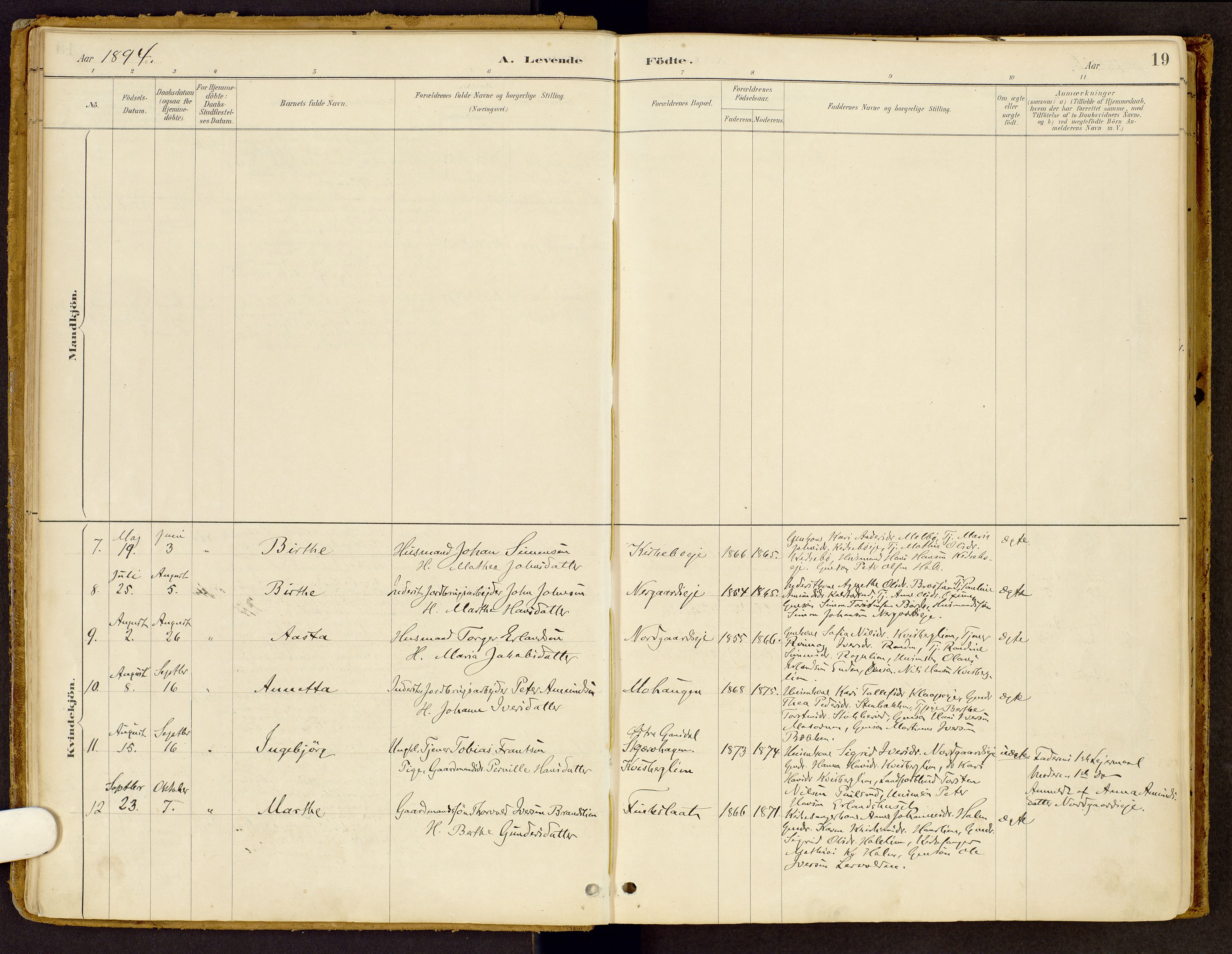 Vestre Gausdal prestekontor, SAH/PREST-094/H/Ha/Haa/L0002: Parish register (official) no. 2, 1887-1918, p. 19