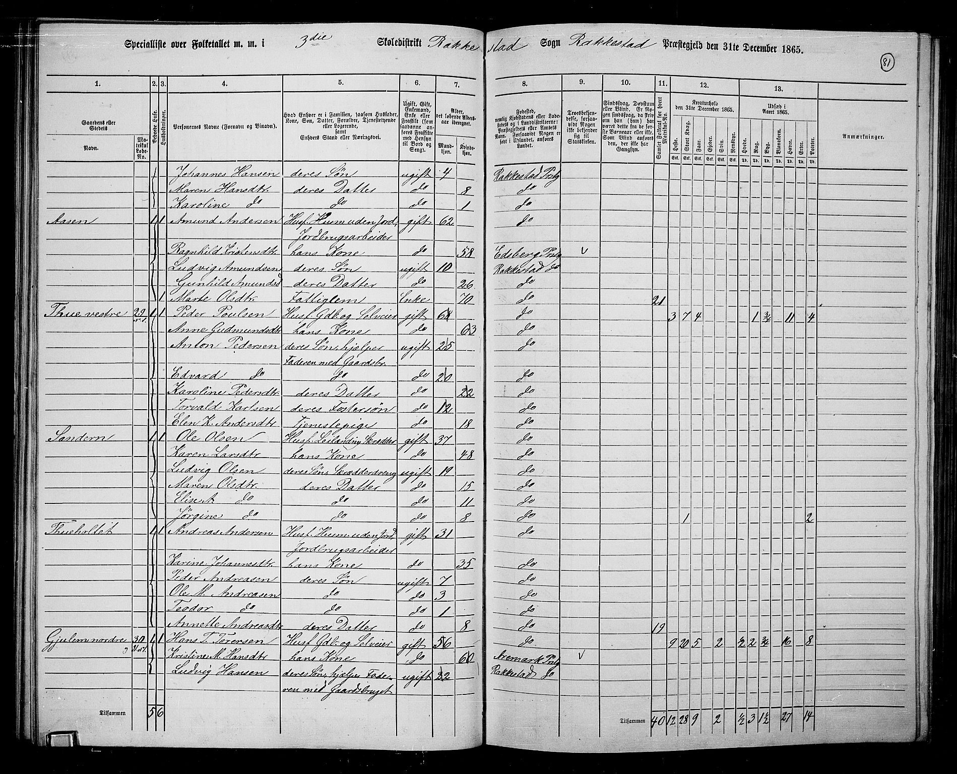 RA, 1865 census for Rakkestad, 1865, p. 80