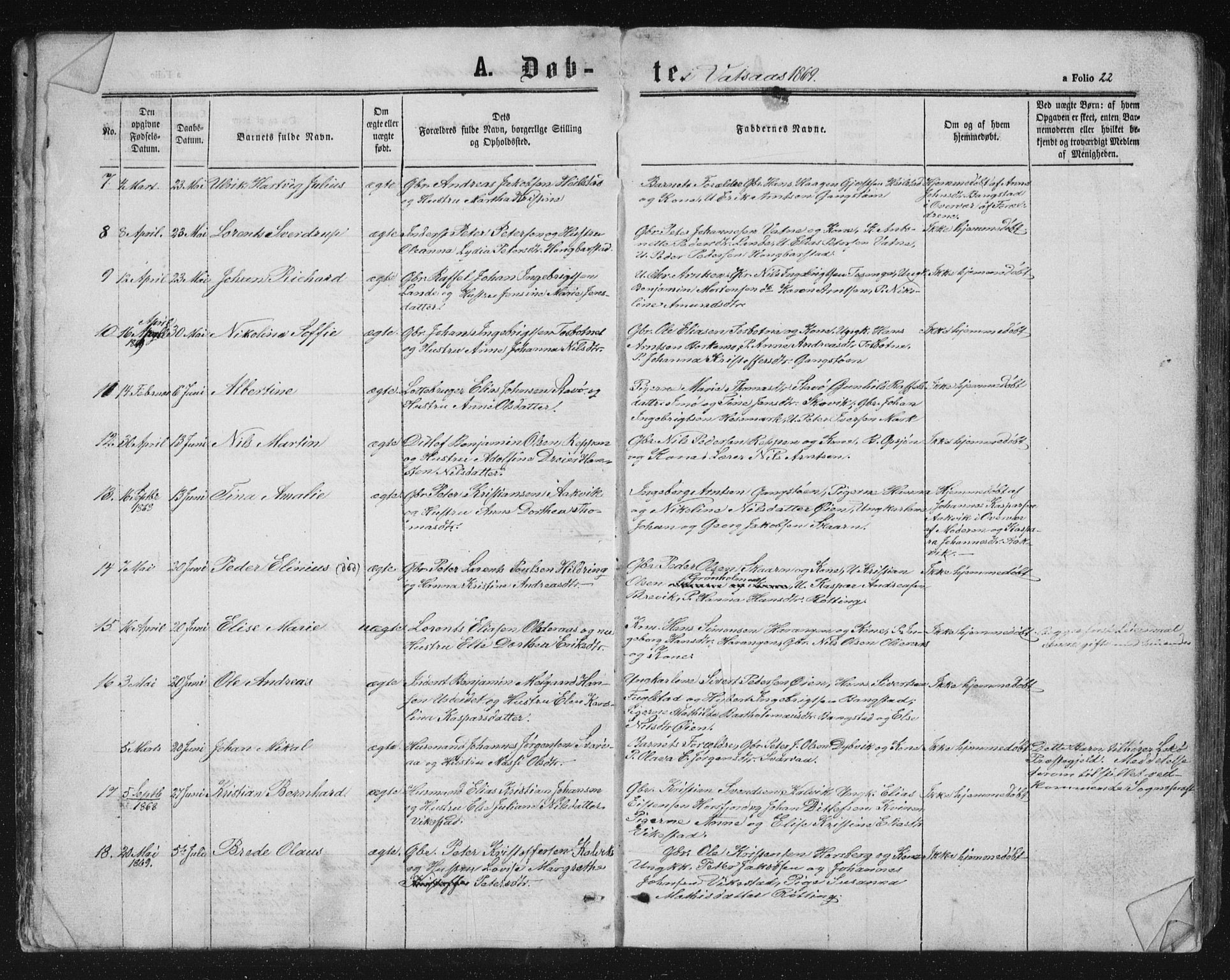 Ministerialprotokoller, klokkerbøker og fødselsregistre - Nordland, AV/SAT-A-1459/810/L0158: Parish register (copy) no. 810C02 /1, 1863-1883, p. 22