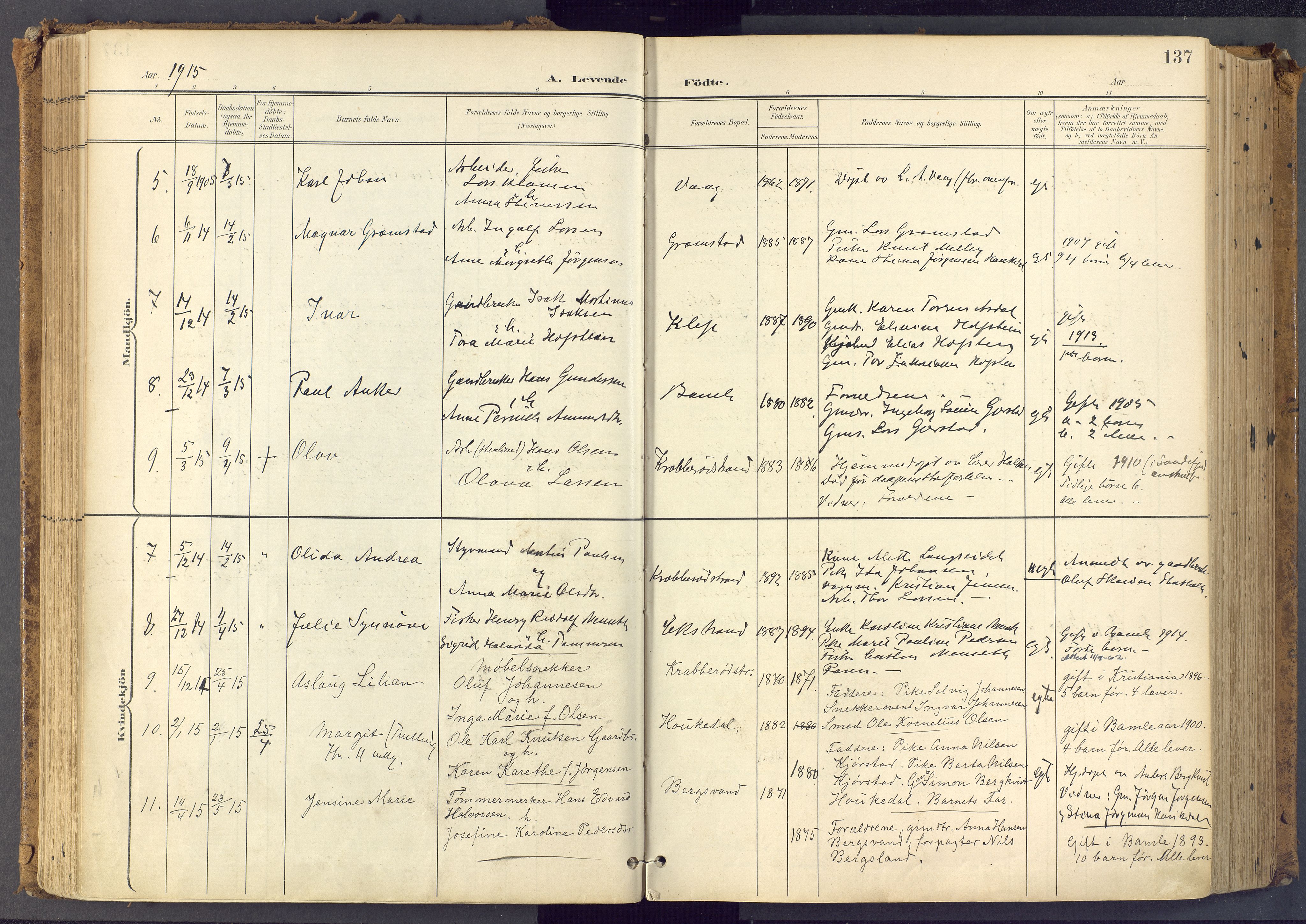 Bamble kirkebøker, SAKO/A-253/F/Fa/L0009: Parish register (official) no. I 9, 1901-1917, p. 137
