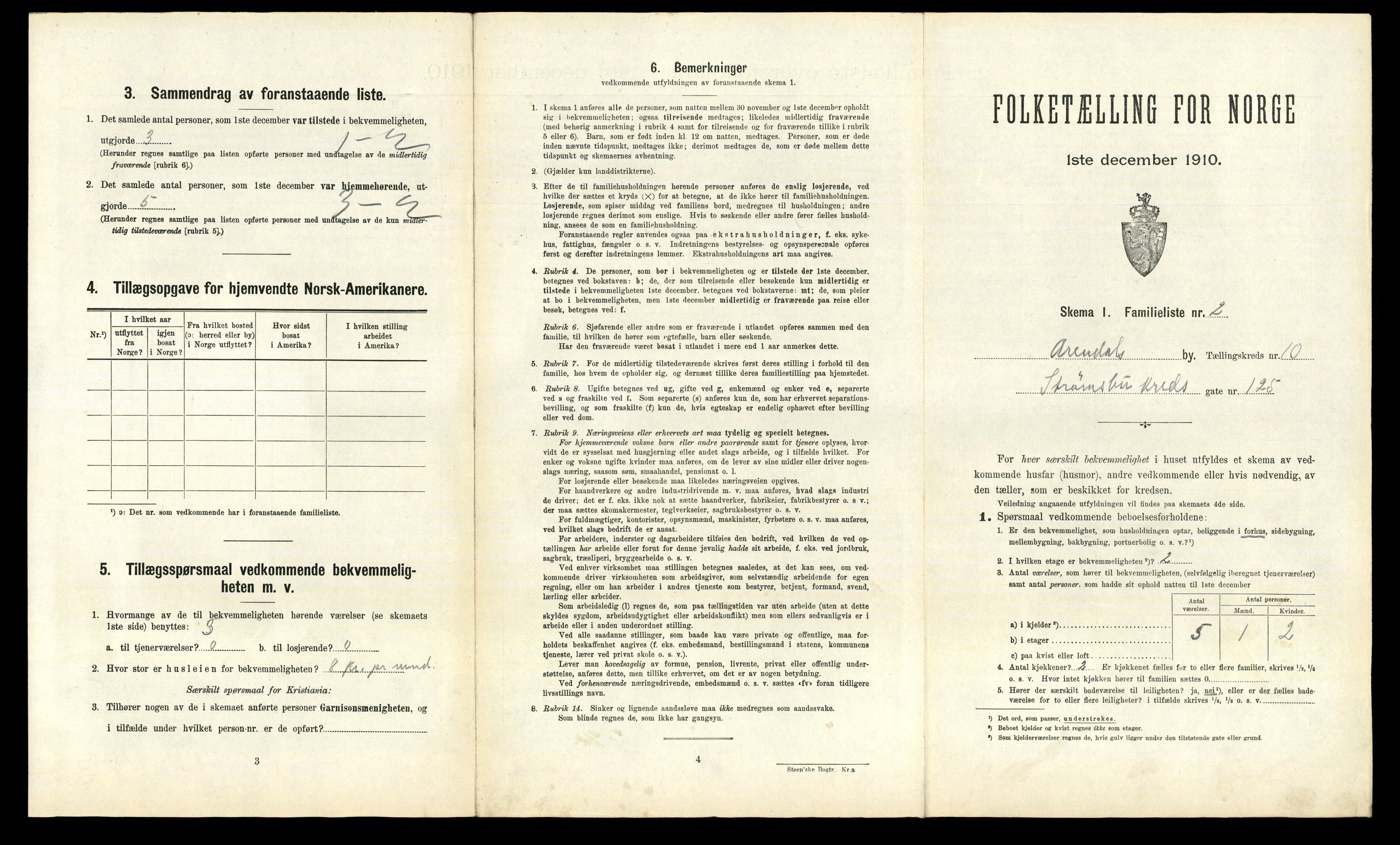 RA, 1910 census for Arendal, 1910, p. 3503