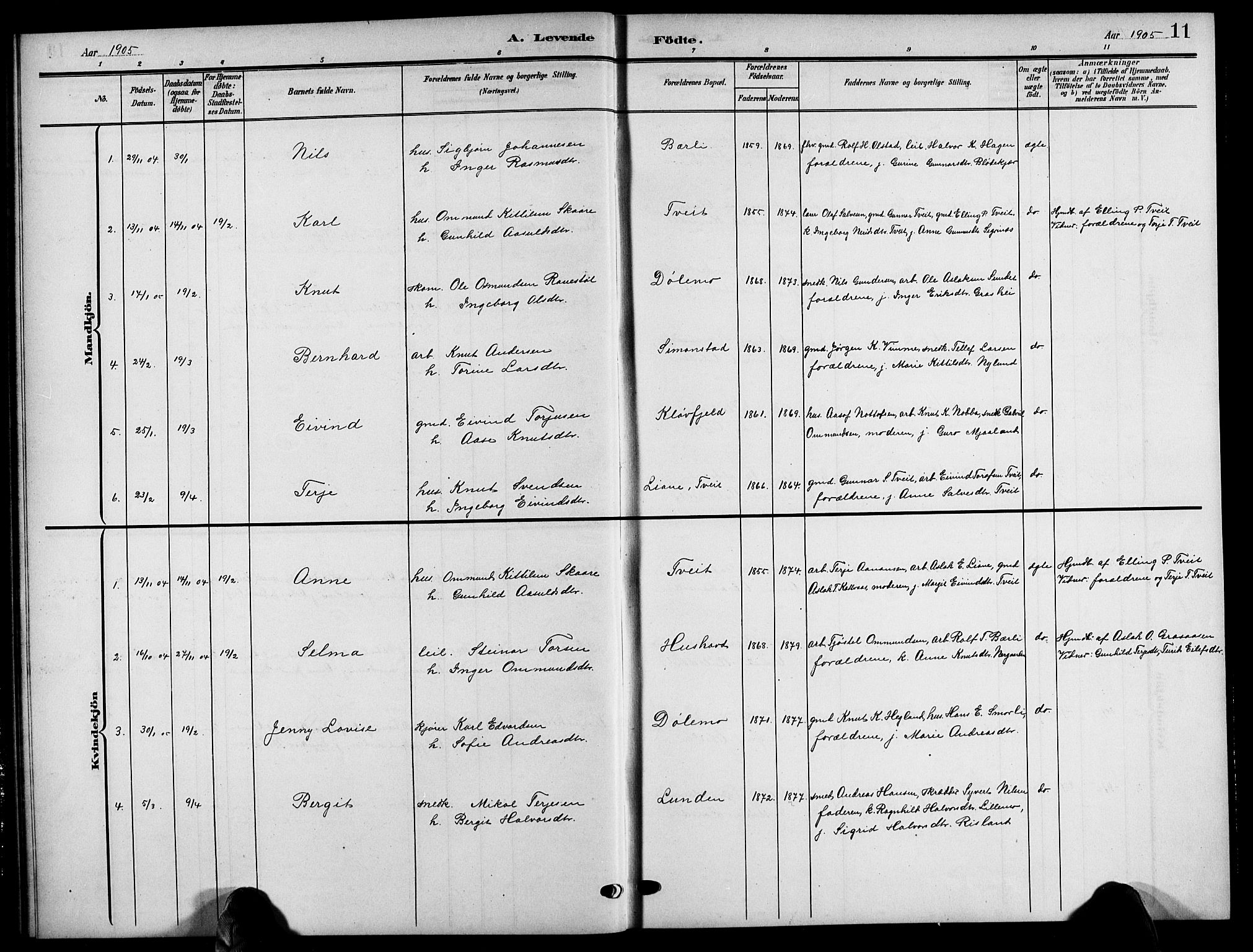 Åmli sokneprestkontor, SAK/1111-0050/F/Fb/Fbc/L0005: Parish register (copy) no. B 5, 1903-1916, p. 11