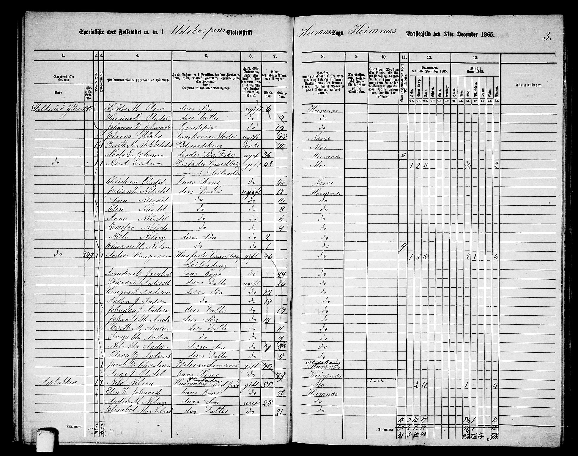 RA, 1865 census for Hemnes, 1865, p. 48