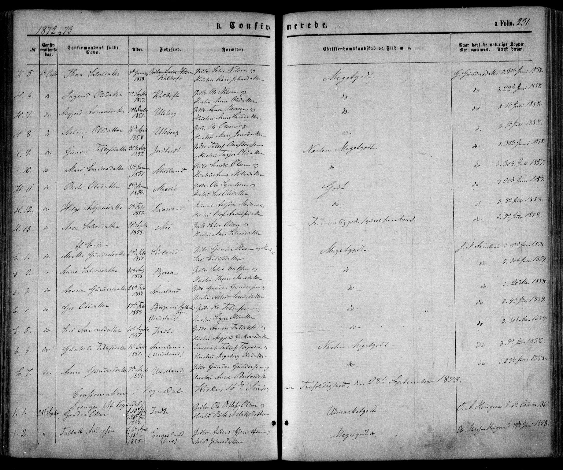 Evje sokneprestkontor, SAK/1111-0008/F/Fa/Faa/L0006: Parish register (official) no. A 6, 1866-1884, p. 231