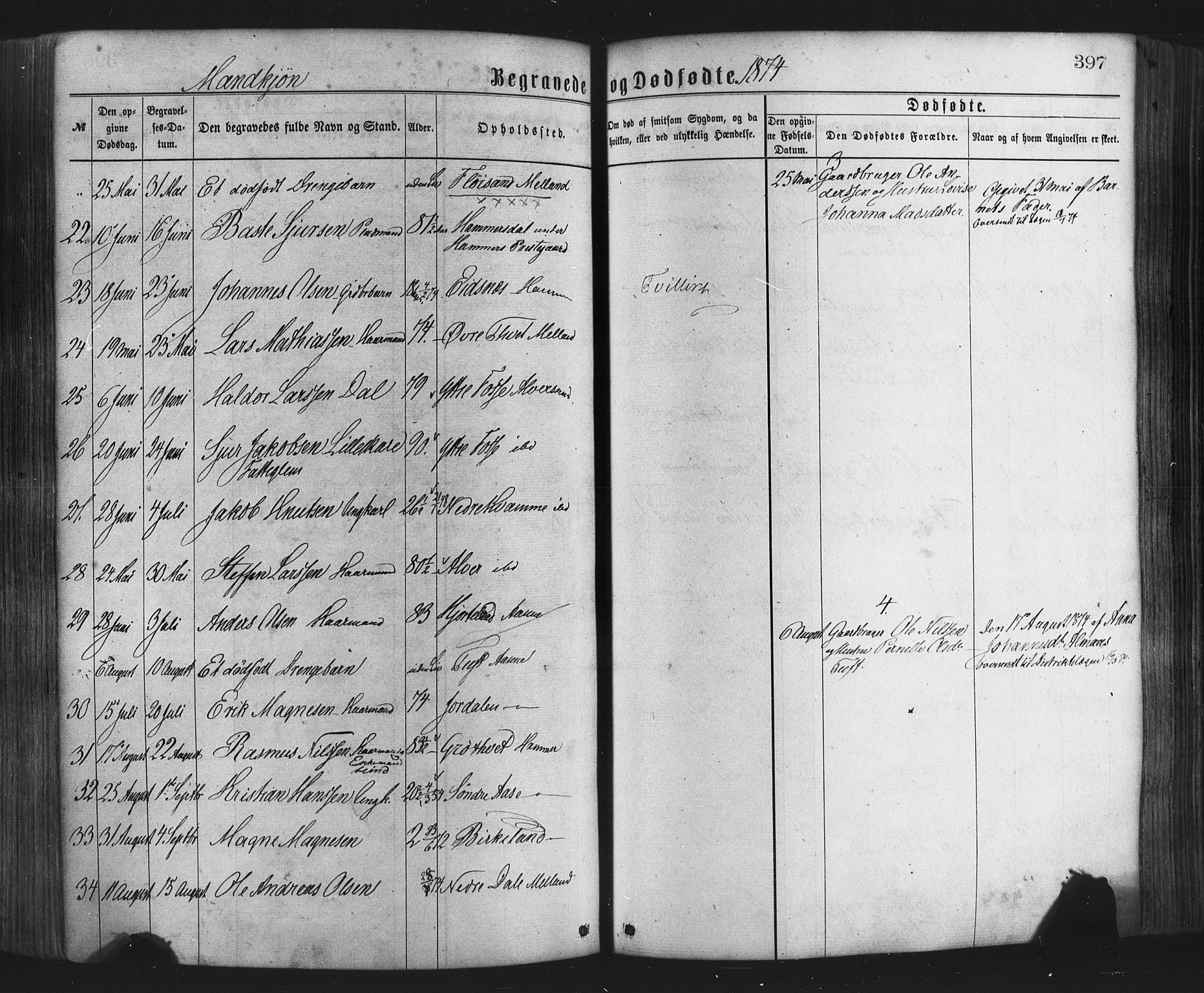 Hamre sokneprestembete, AV/SAB-A-75501/H/Ha/Haa/Haaa/L0015: Parish register (official) no. A 15, 1870-1881, p. 397