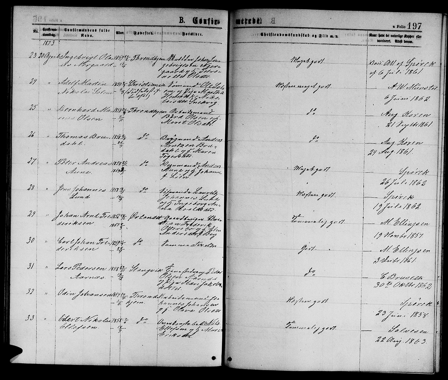 Ministerialprotokoller, klokkerbøker og fødselsregistre - Sør-Trøndelag, AV/SAT-A-1456/601/L0088: Parish register (copy) no. 601C06, 1870-1878, p. 197