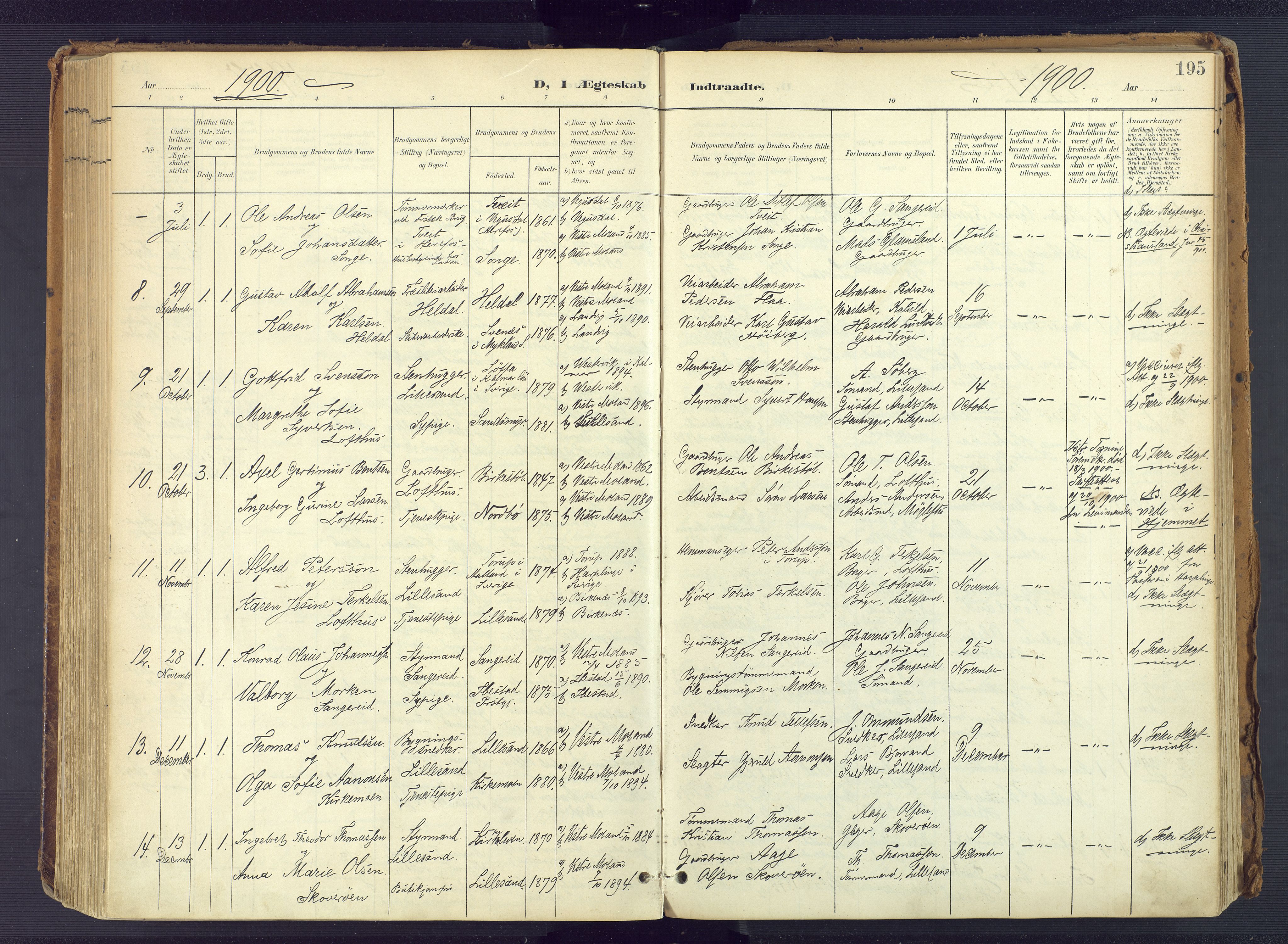 Vestre Moland sokneprestkontor, SAK/1111-0046/F/Fa/Fab/L0010: Parish register (official) no. A 10, 1900-1926, p. 195