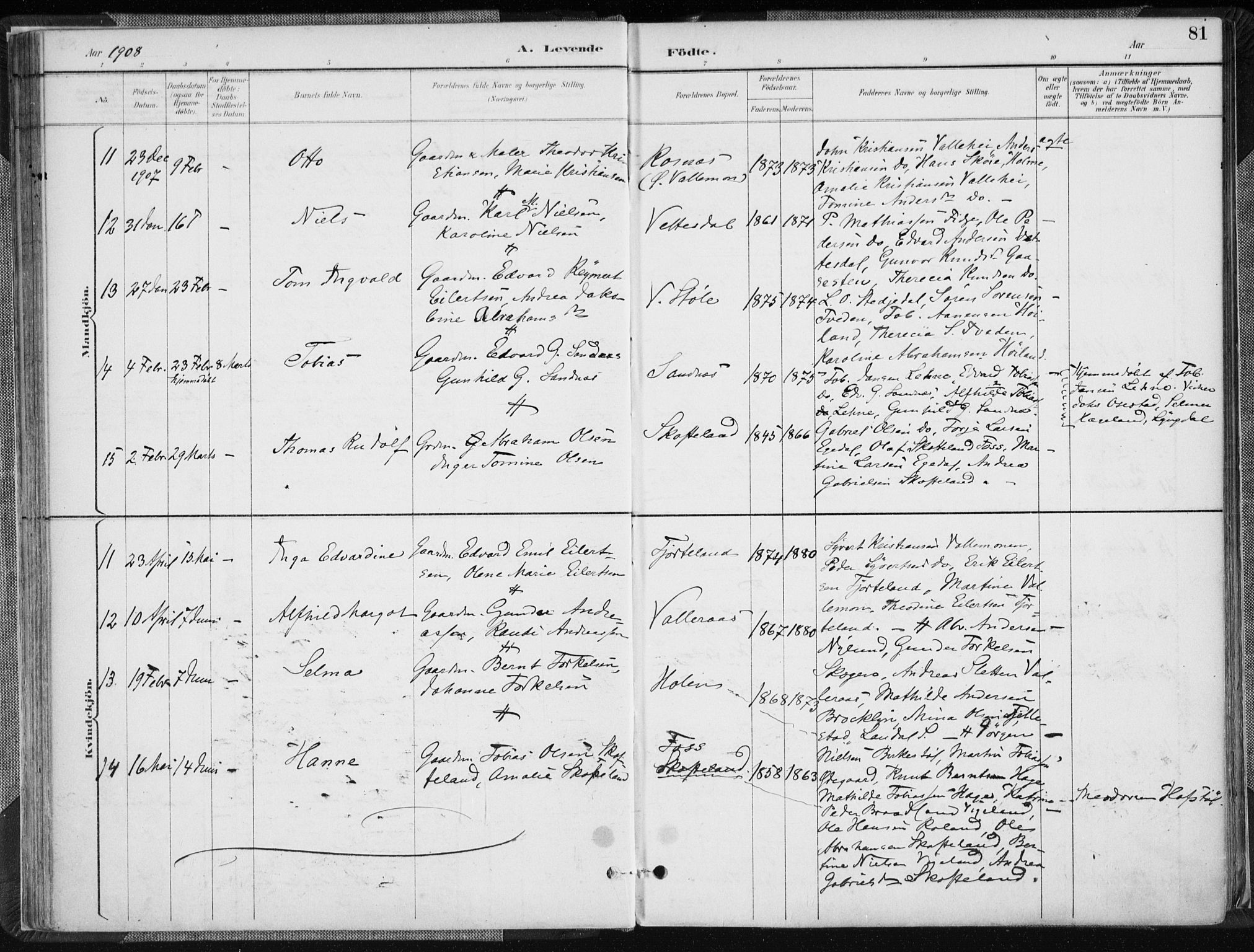 Sør-Audnedal sokneprestkontor, AV/SAK-1111-0039/F/Fa/Fab/L0010: Parish register (official) no. A 10, 1892-1913, p. 81