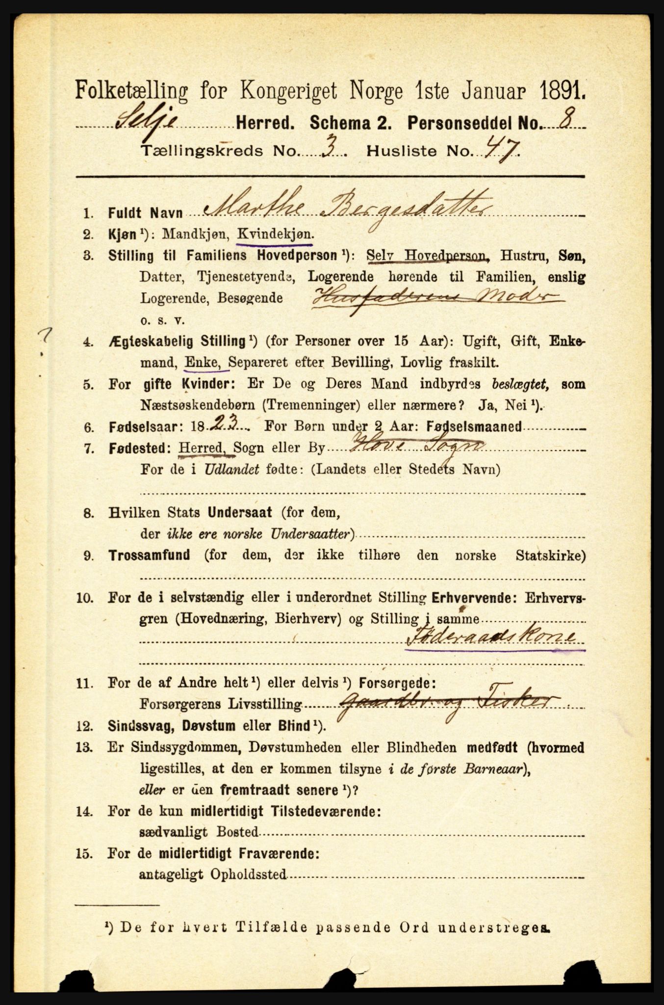 RA, 1891 census for 1441 Selje, 1891, p. 897