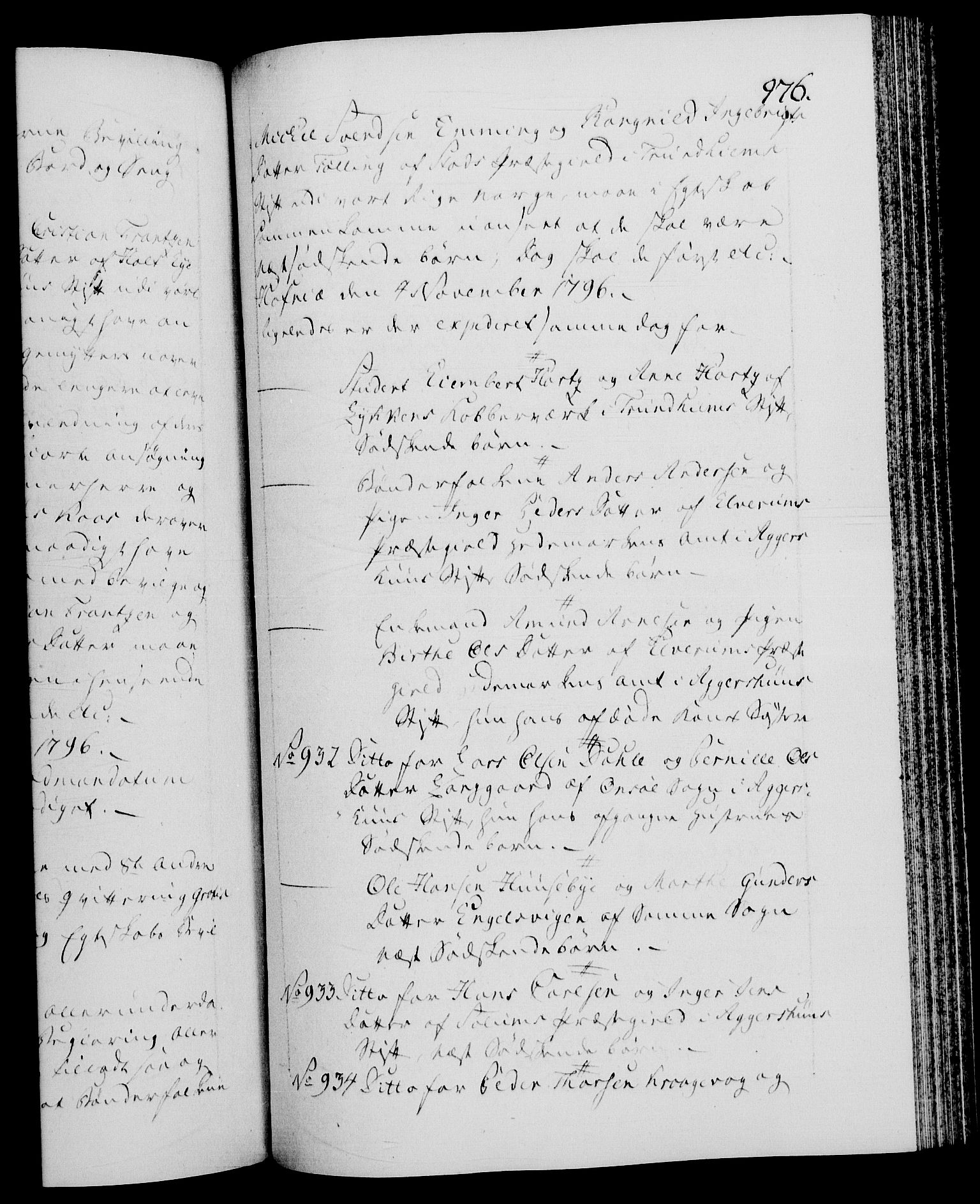 Danske Kanselli 1572-1799, AV/RA-EA-3023/F/Fc/Fca/Fcaa/L0056: Norske registre, 1795-1796, p. 976a