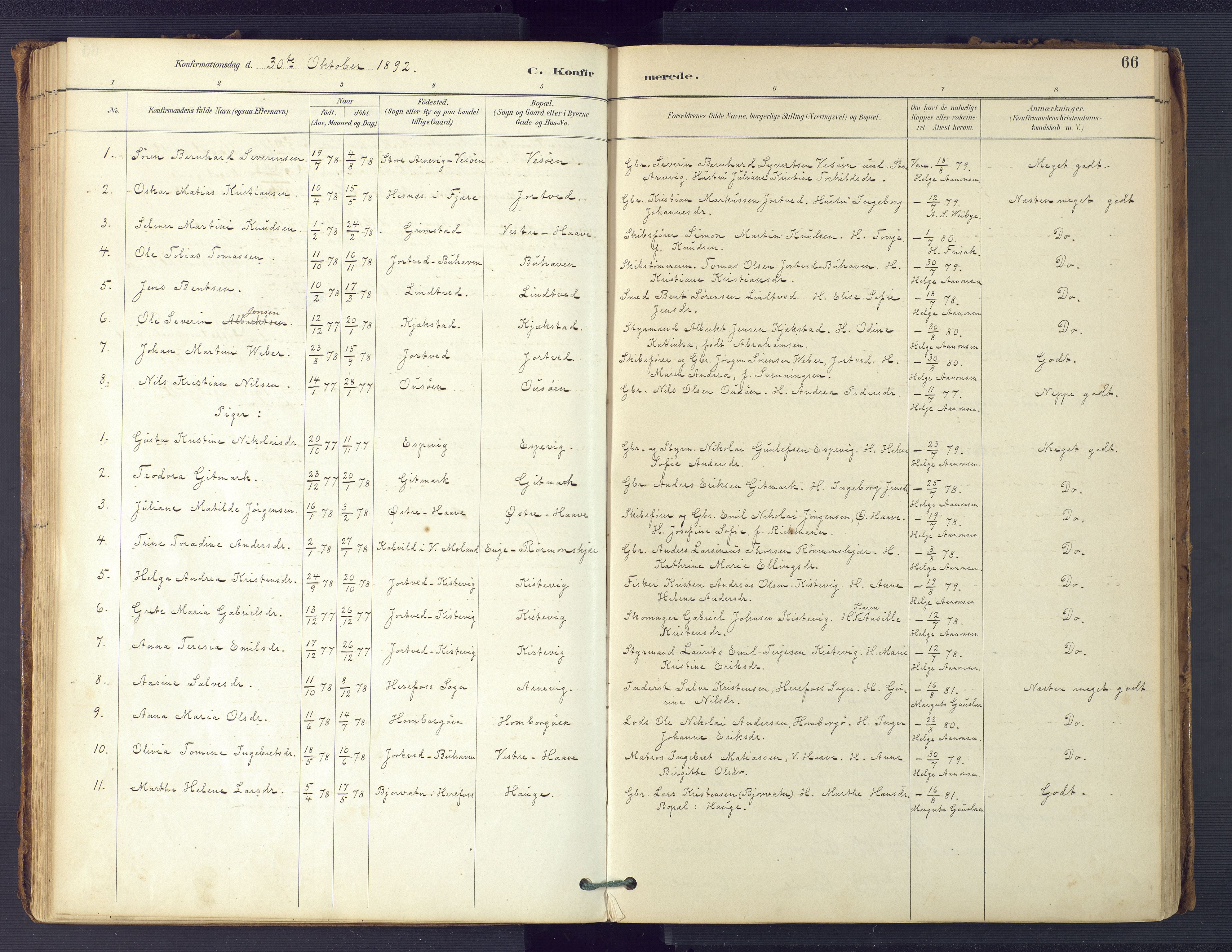 Hommedal sokneprestkontor, SAK/1111-0023/F/Fa/Faa/L0003: Parish register (official) no. A 3, 1885-1916, p. 66