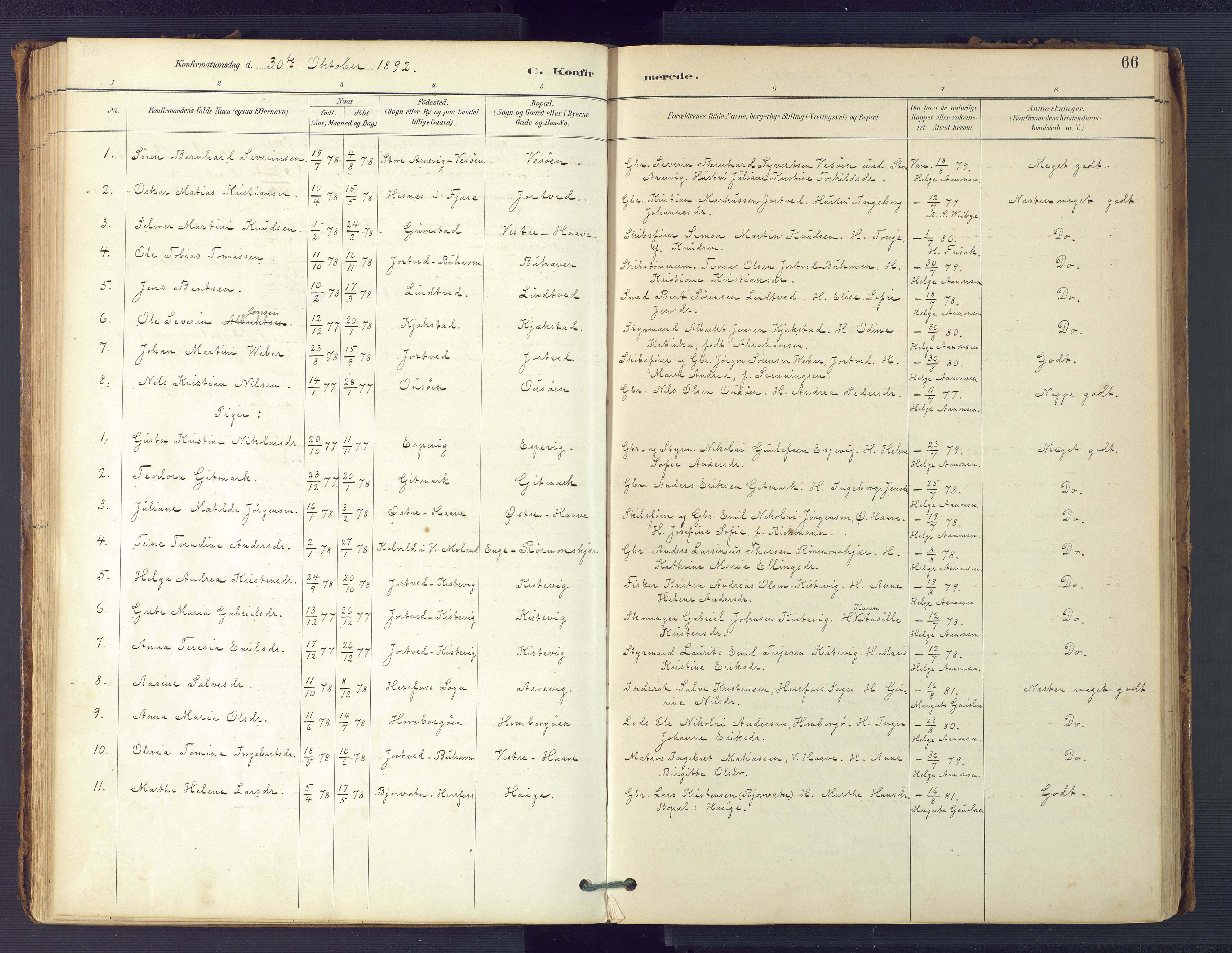 Hommedal sokneprestkontor, AV/SAK-1111-0023/F/Fa/Faa/L0003: Parish register (official) no. A 3, 1885-1916, p. 66