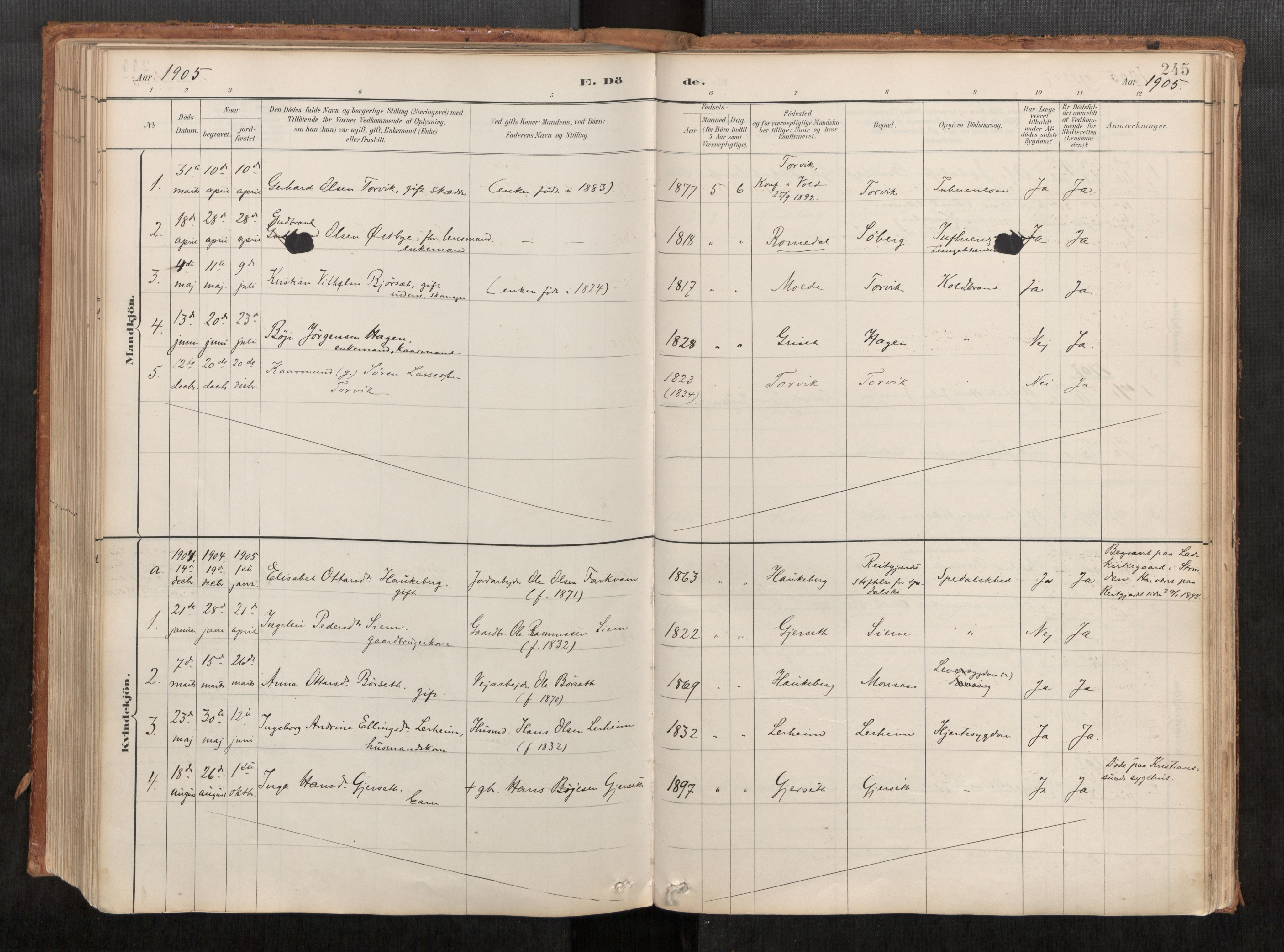 Ministerialprotokoller, klokkerbøker og fødselsregistre - Møre og Romsdal, AV/SAT-A-1454/542/L0553: Parish register (official) no. 542A03, 1885-1925, p. 245