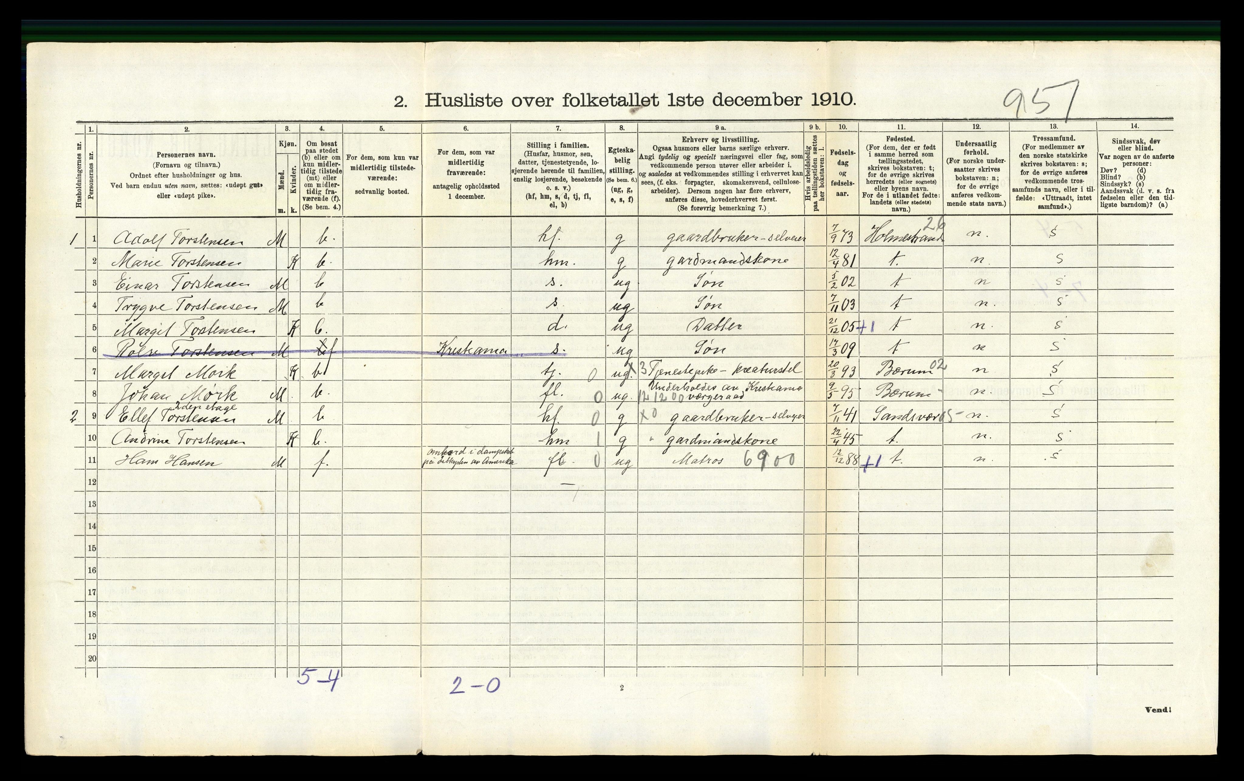 RA, 1910 census for Botne, 1910, p. 307