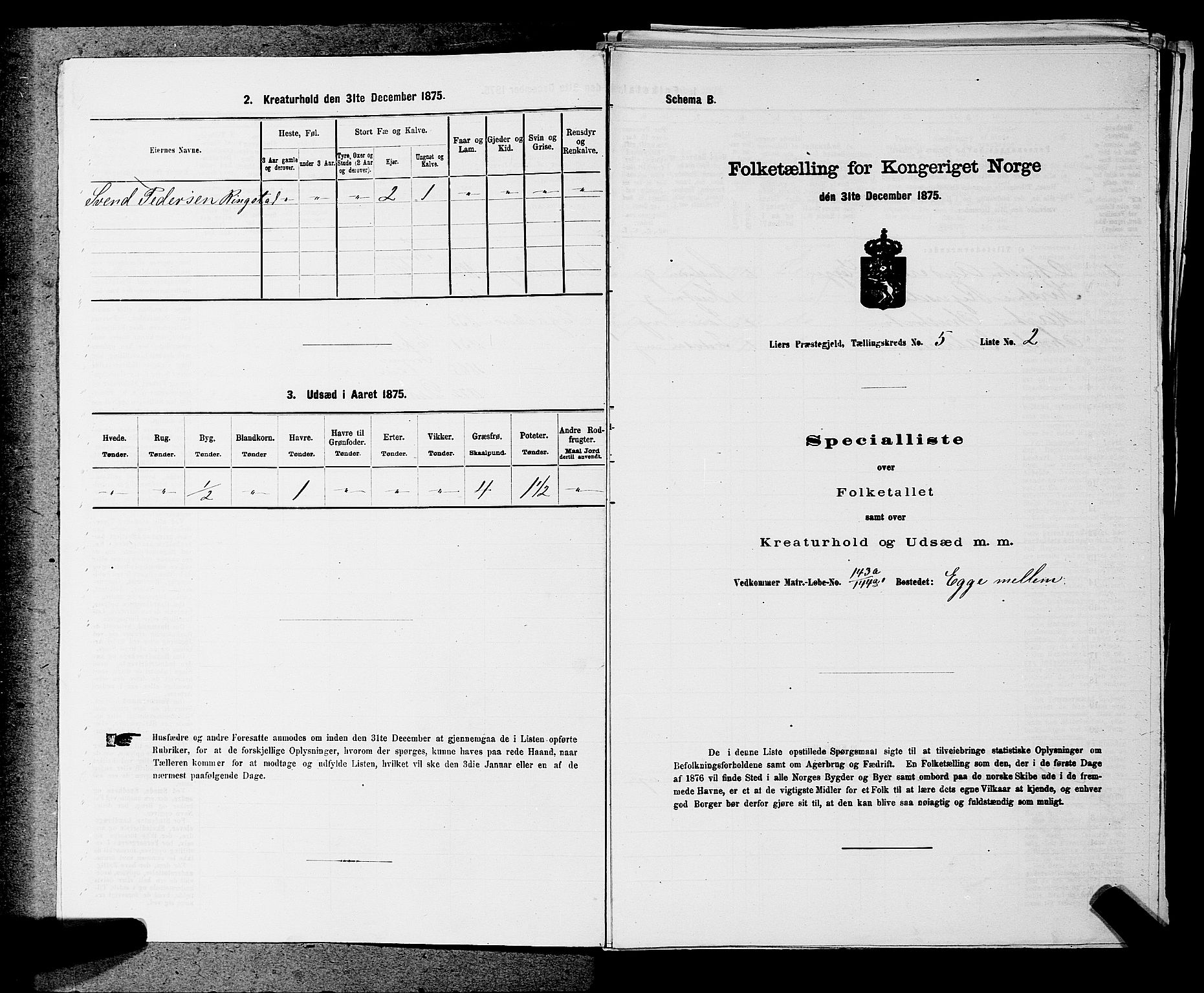 SAKO, 1875 census for 0626P Lier, 1875, p. 819