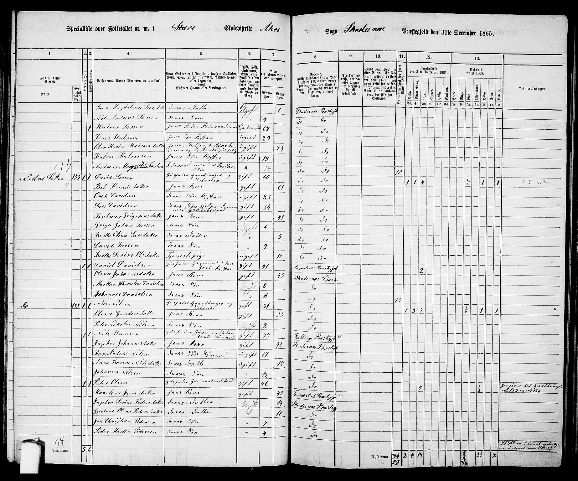 RA, 1865 census for Skudenes, 1865, p. 87