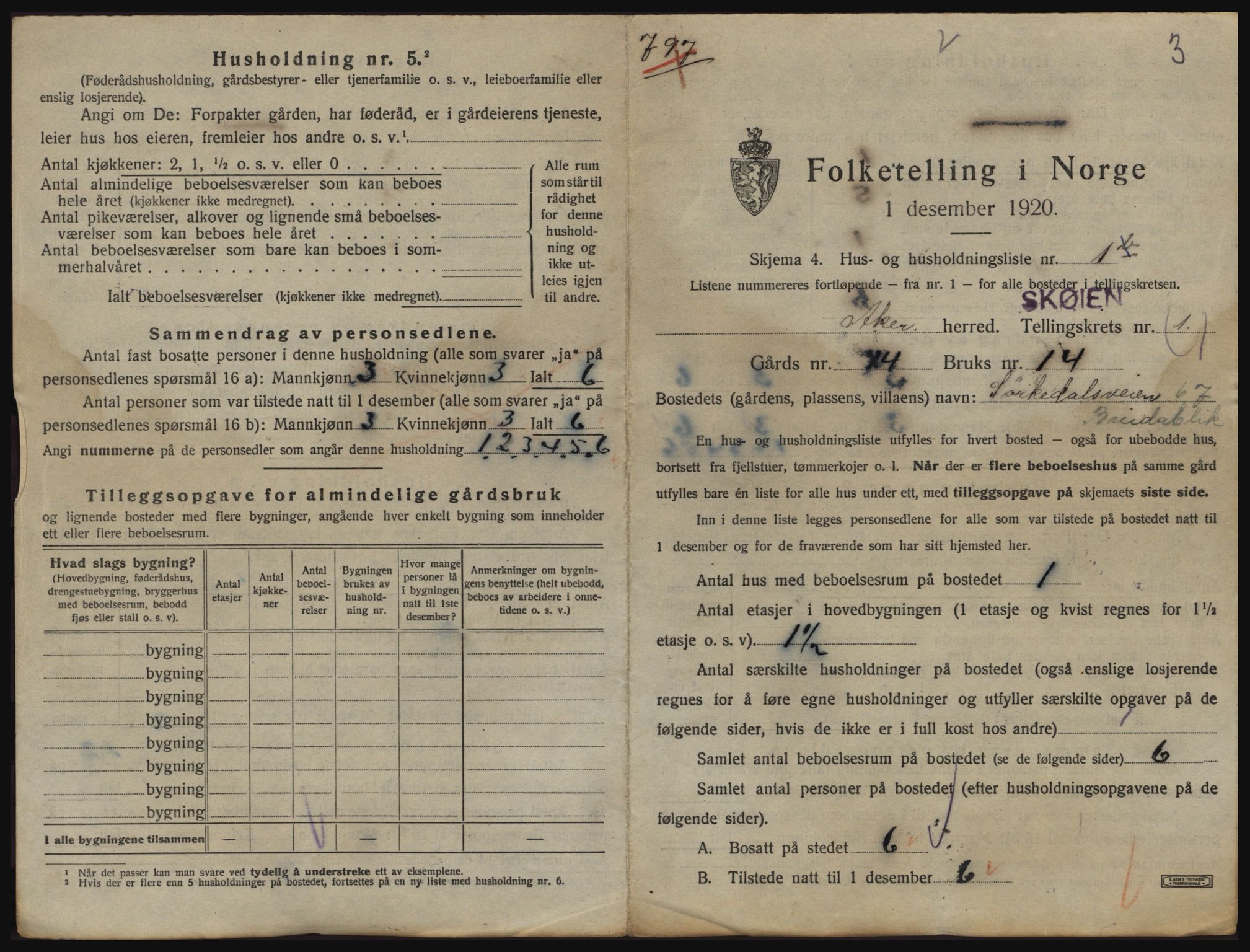 SAO, 1920 census for Aker, 1920, p. 516