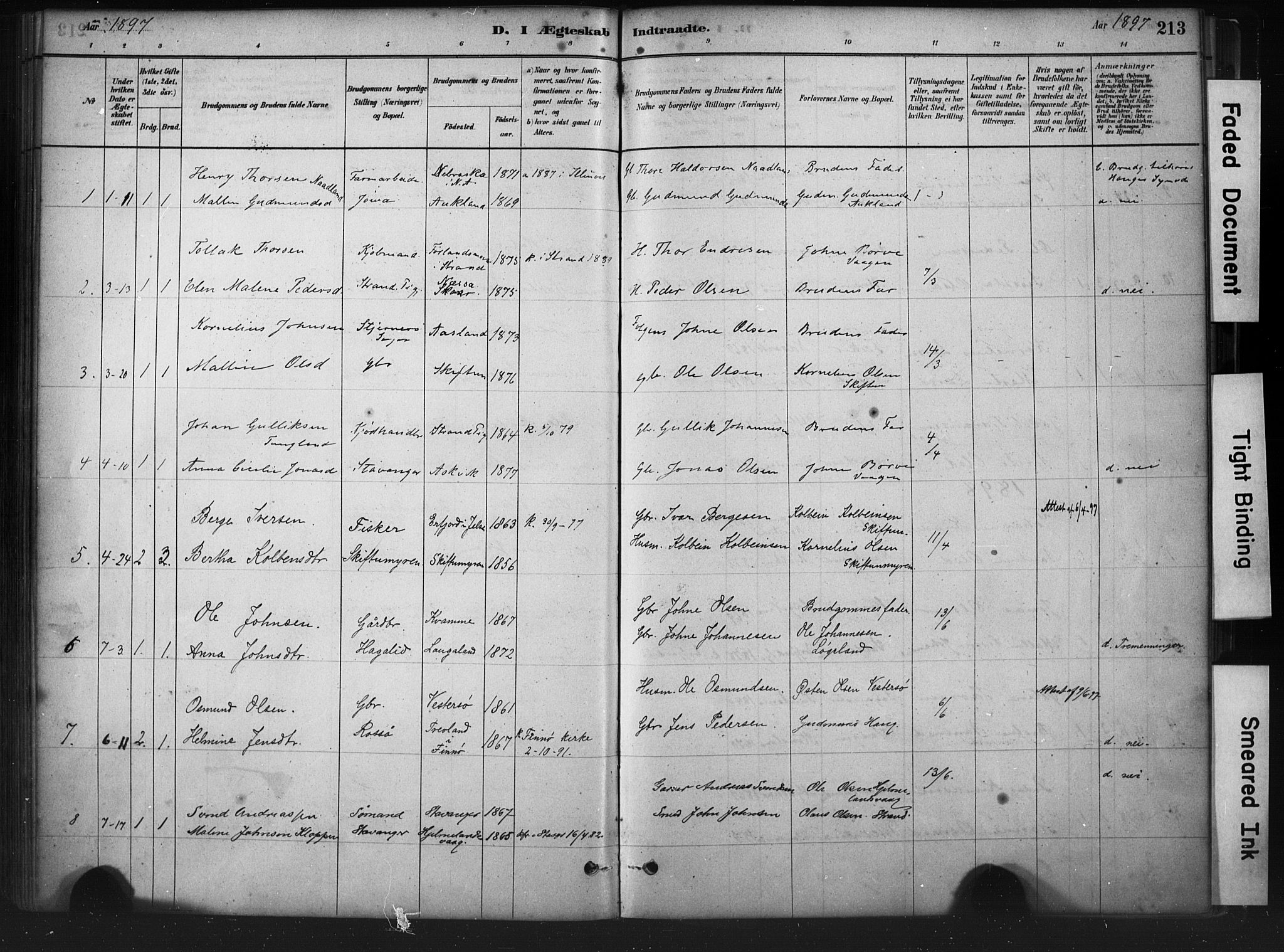 Hjelmeland sokneprestkontor, AV/SAST-A-101843/01/IV/L0014: Parish register (official) no. A 14, 1879-1900, p. 213