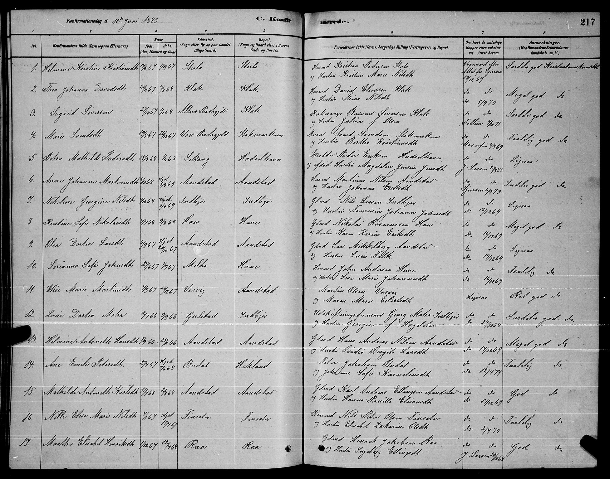 Ministerialprotokoller, klokkerbøker og fødselsregistre - Nordland, AV/SAT-A-1459/888/L1267: Parish register (copy) no. 888C05, 1878-1890, p. 217