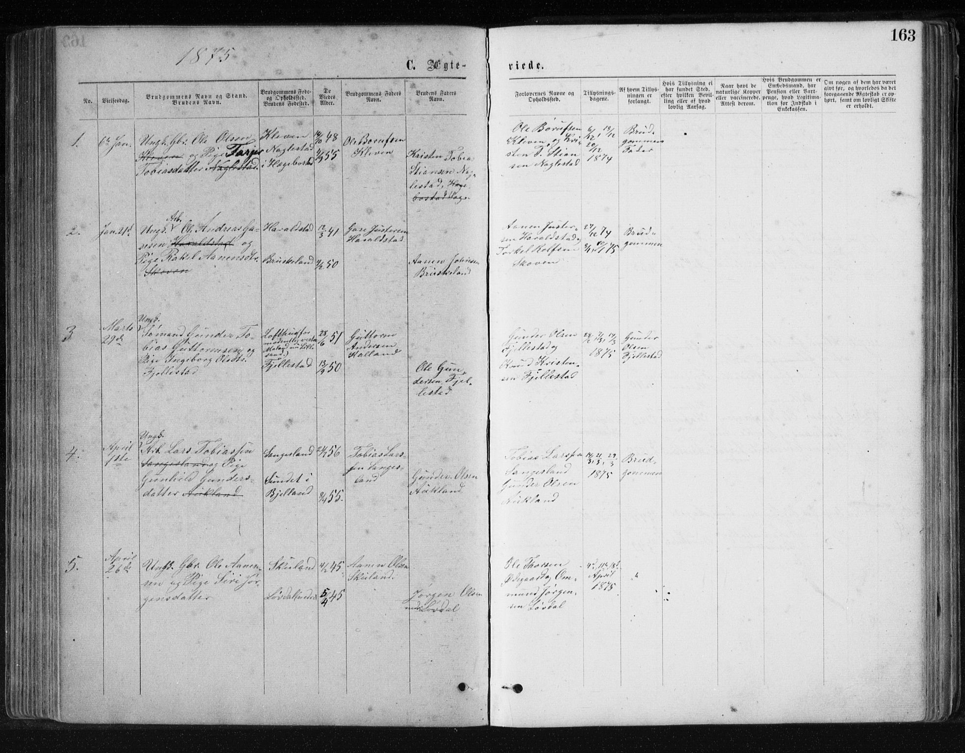 Holum sokneprestkontor, SAK/1111-0022/F/Fb/Fbb/L0003: Parish register (copy) no. B 3, 1875-1898, p. 163
