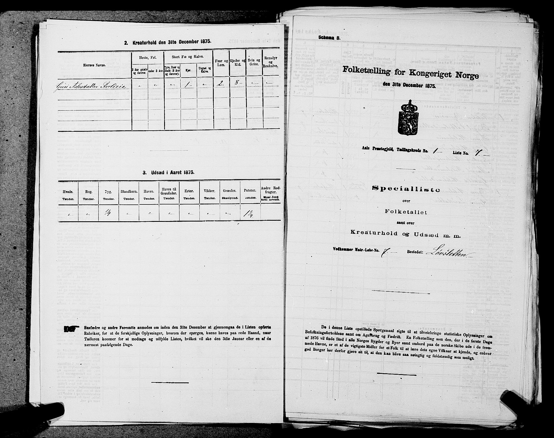 SAKO, 1875 census for 0619P Ål, 1875, p. 32