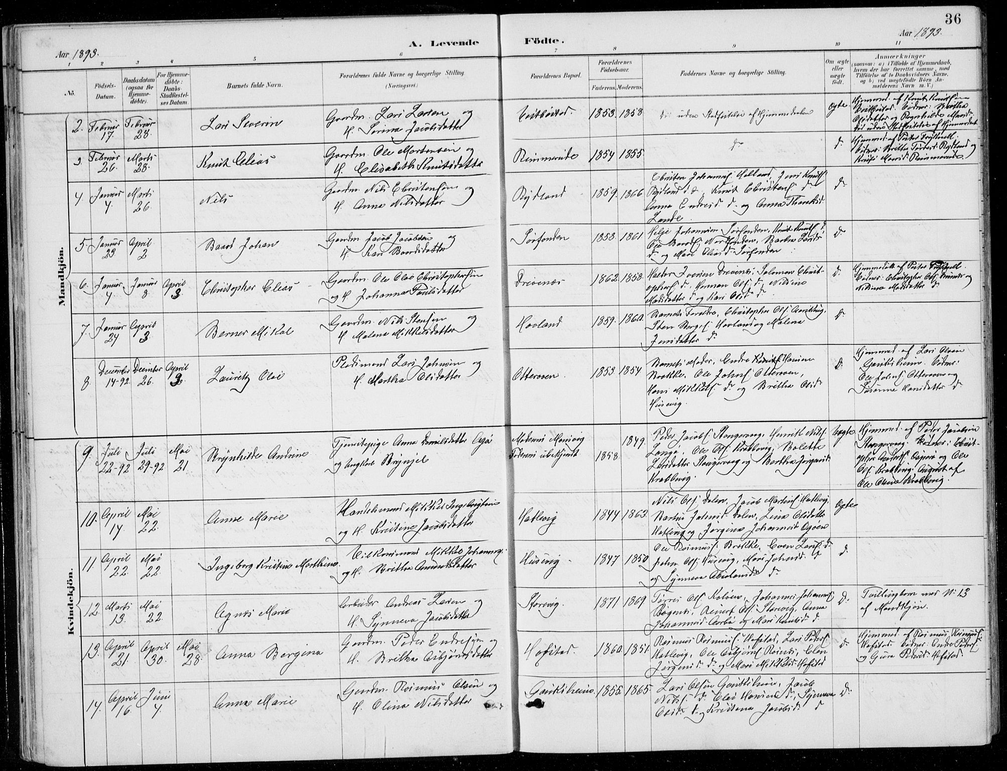 Fitjar sokneprestembete, SAB/A-99926: Parish register (copy) no. A 2, 1887-1906, p. 36
