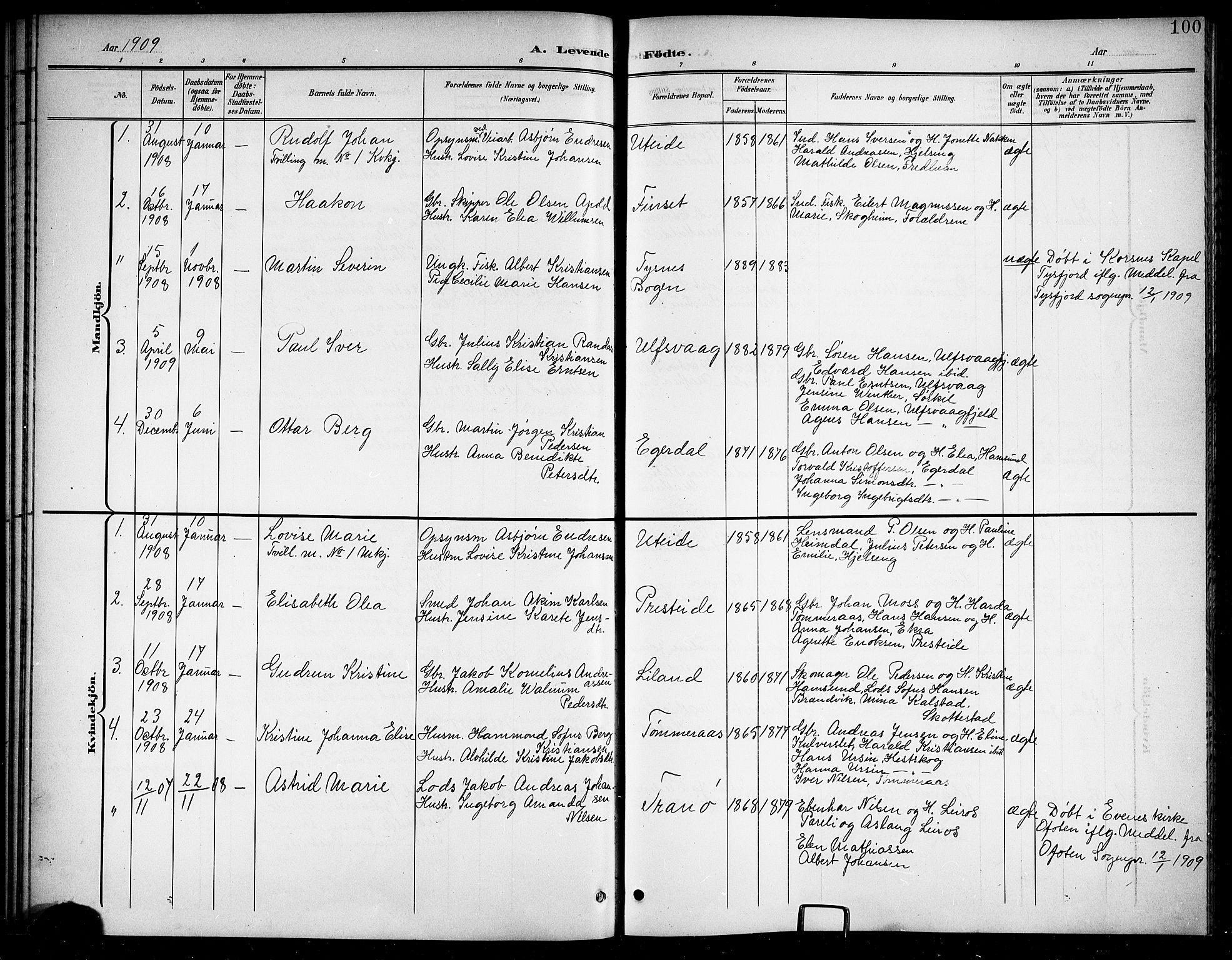 Ministerialprotokoller, klokkerbøker og fødselsregistre - Nordland, AV/SAT-A-1459/859/L0860: Parish register (copy) no. 859C06, 1899-1909, p. 100