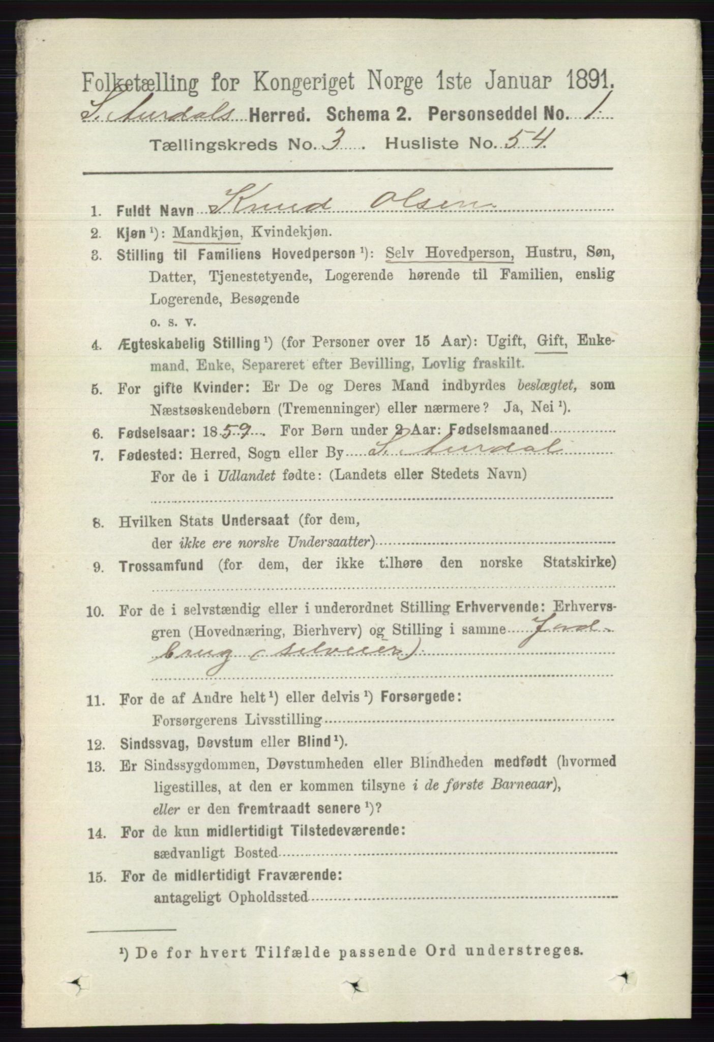 RA, 1891 census for 0540 Sør-Aurdal, 1891, p. 2006