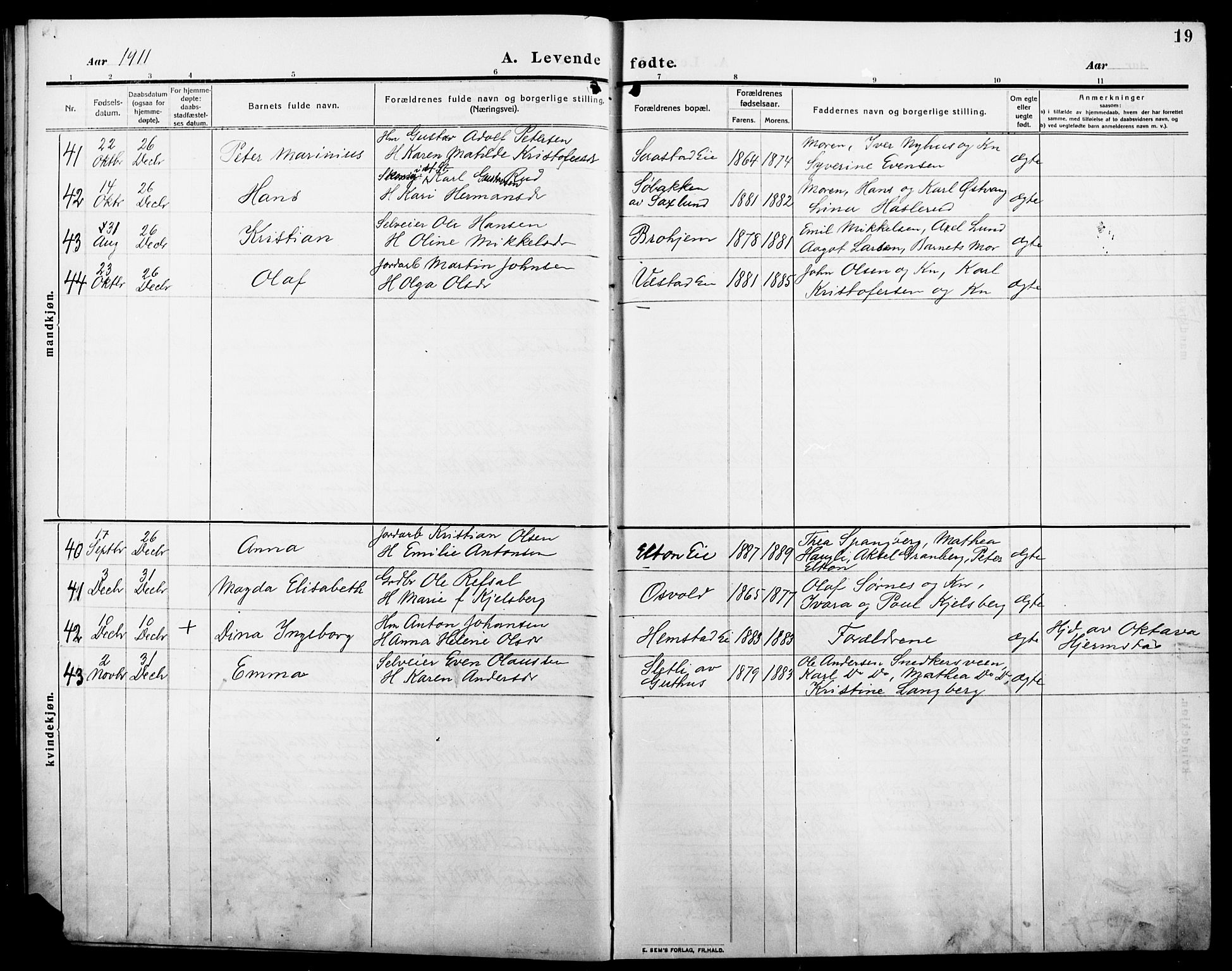 Stange prestekontor, AV/SAH-PREST-002/L/L0014: Parish register (copy) no. 14, 1909-1917, p. 19