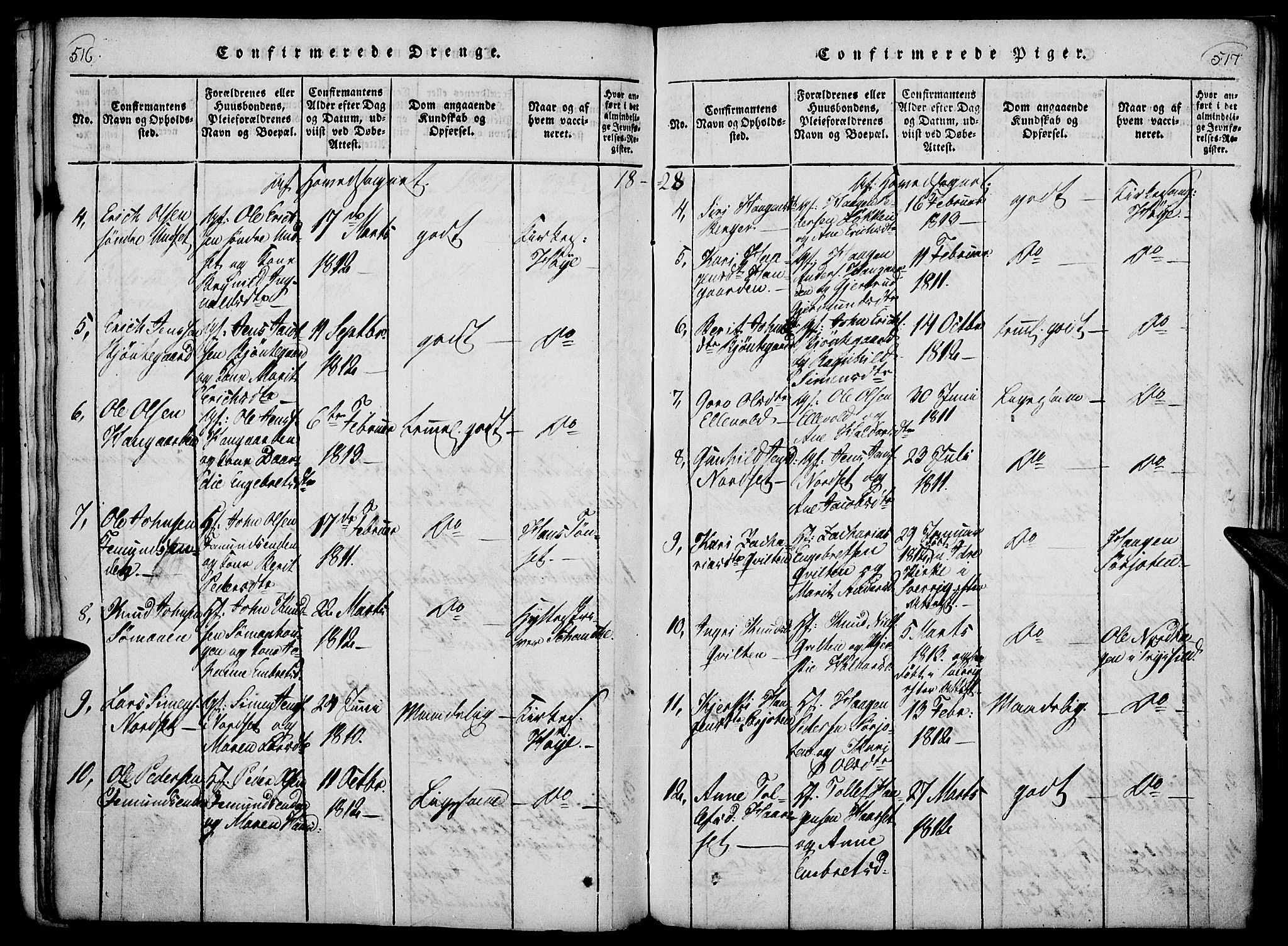 Rendalen prestekontor, AV/SAH-PREST-054/H/Ha/Haa/L0003: Parish register (official) no. 3, 1815-1829, p. 516-517