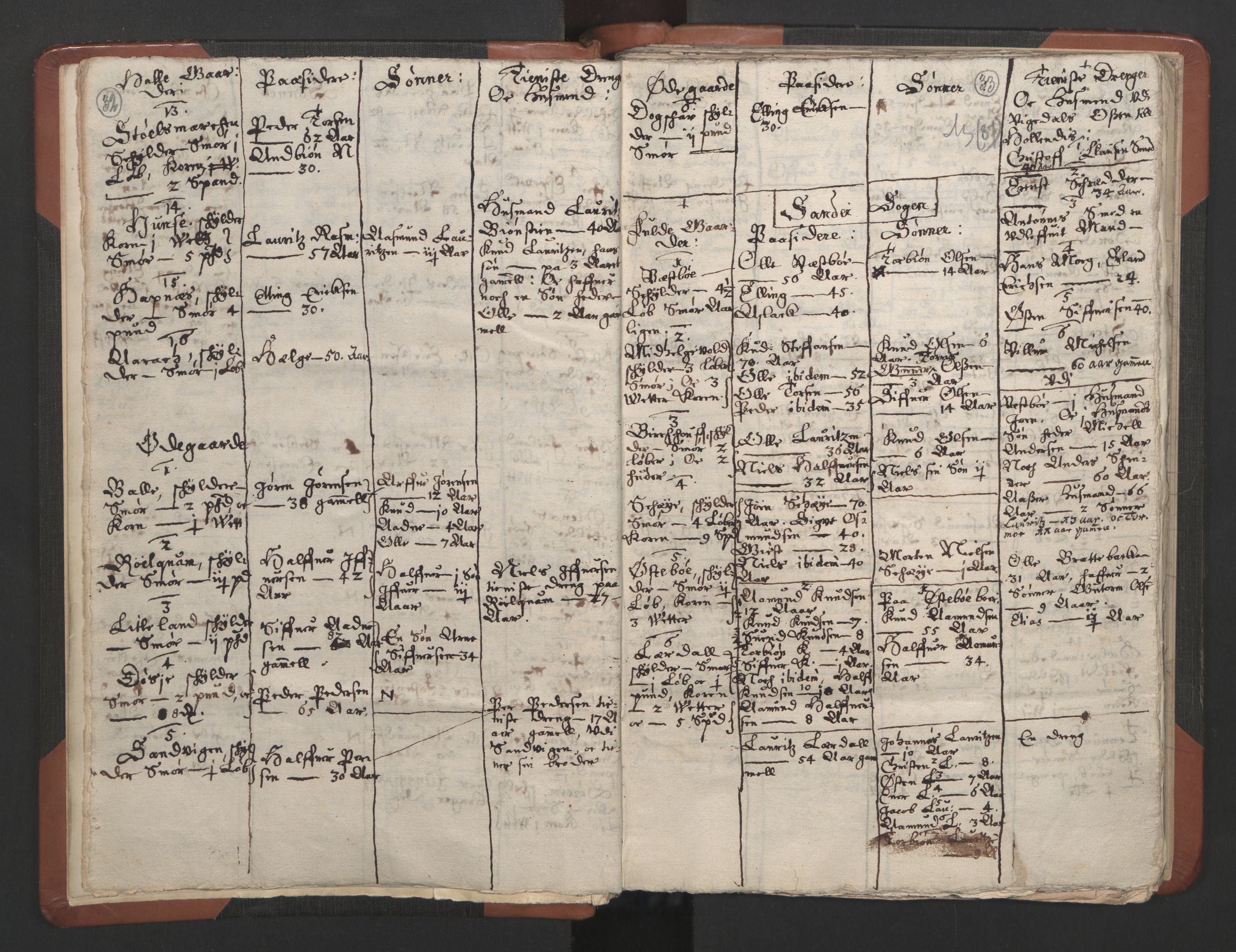 RA, Vicar's Census 1664-1666, no. 19: Ryfylke deanery, 1664-1666, p. 32-33