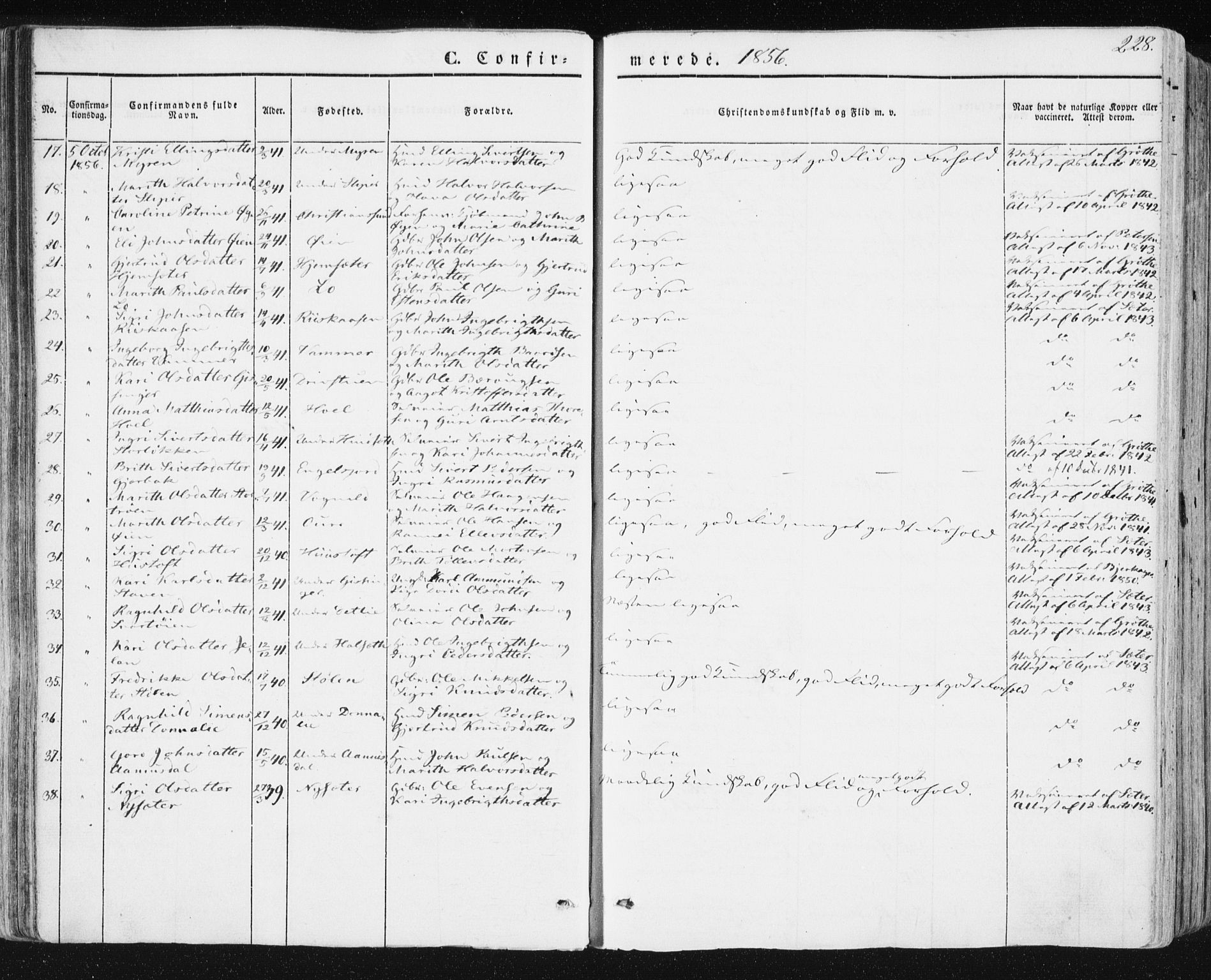 Ministerialprotokoller, klokkerbøker og fødselsregistre - Sør-Trøndelag, AV/SAT-A-1456/678/L0899: Parish register (official) no. 678A08, 1848-1872, p. 228