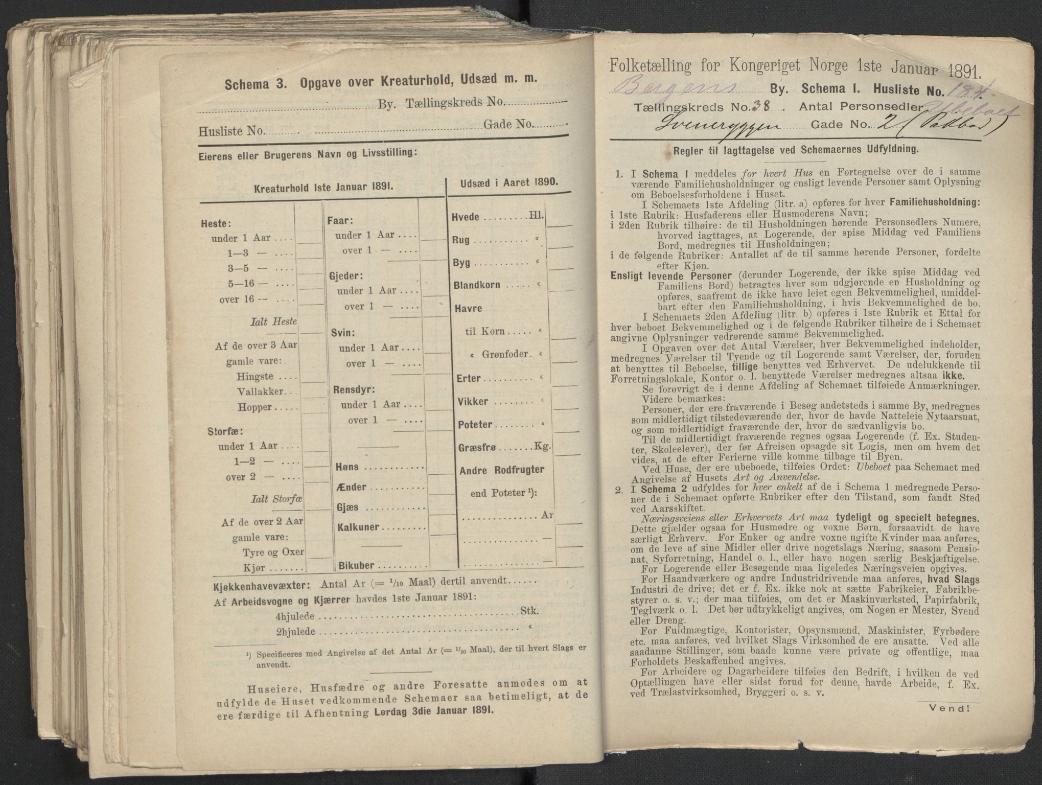 RA, 1891 Census for 1301 Bergen, 1891, p. 6442