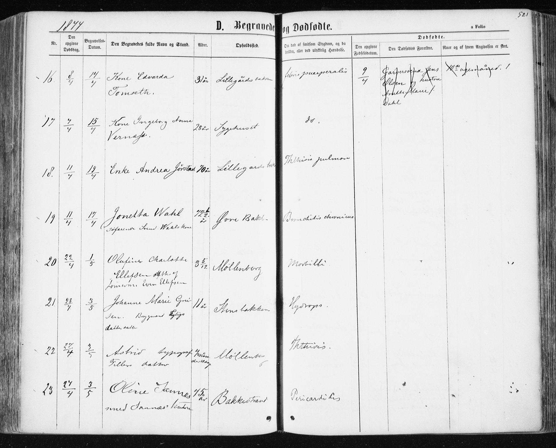 Ministerialprotokoller, klokkerbøker og fødselsregistre - Sør-Trøndelag, SAT/A-1456/604/L0186: Parish register (official) no. 604A07, 1866-1877, p. 521