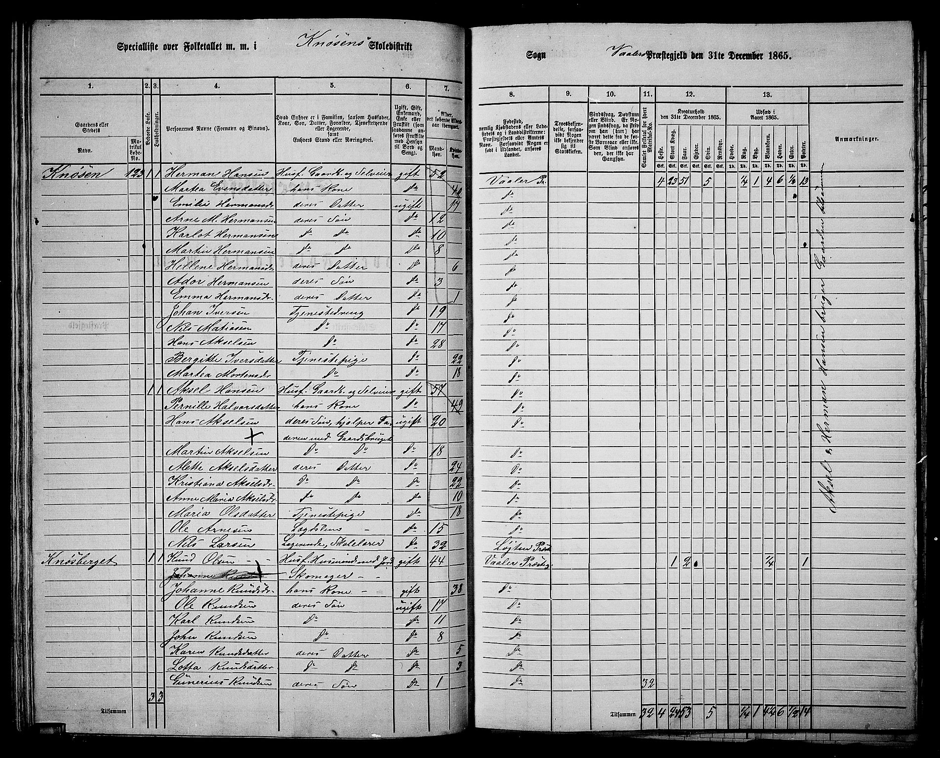 RA, 1865 census for Våler, 1865, p. 67