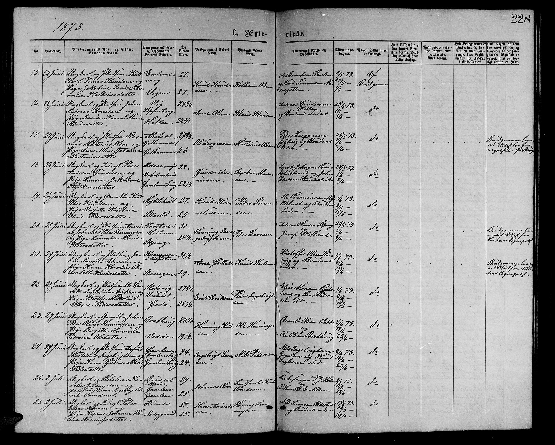 Ministerialprotokoller, klokkerbøker og fødselsregistre - Møre og Romsdal, AV/SAT-A-1454/528/L0428: Parish register (copy) no. 528C09, 1864-1880, p. 228