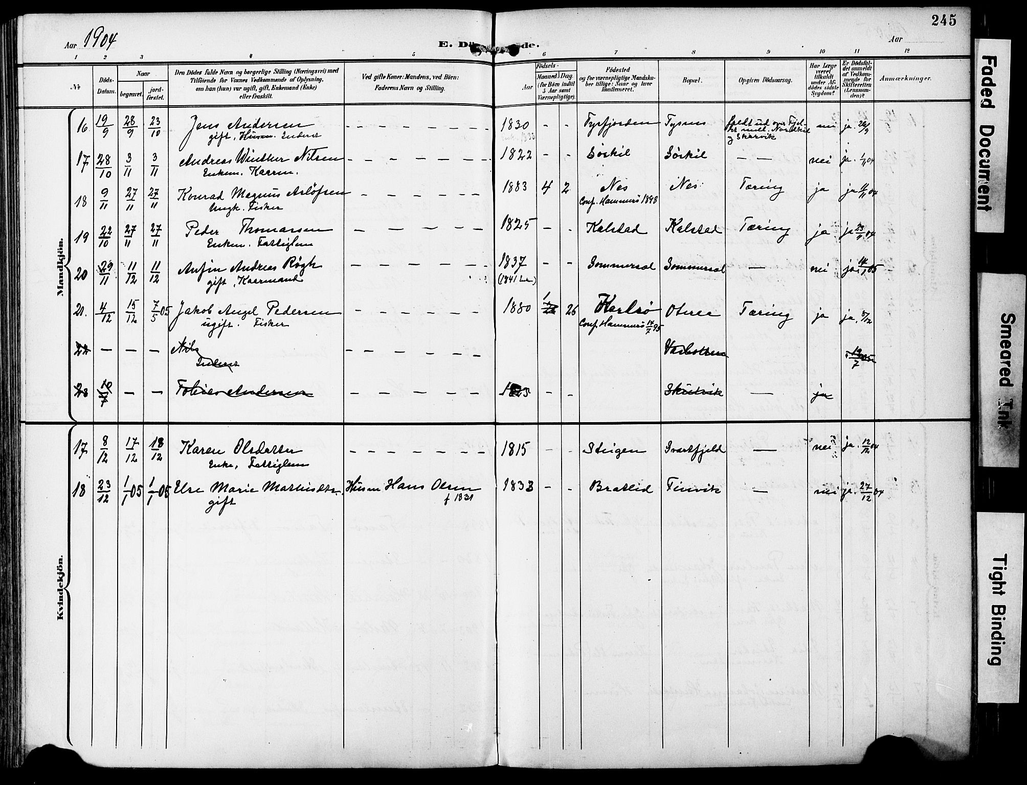 Ministerialprotokoller, klokkerbøker og fødselsregistre - Nordland, AV/SAT-A-1459/859/L0848: Parish register (official) no. 859A08, 1900-1912, p. 245