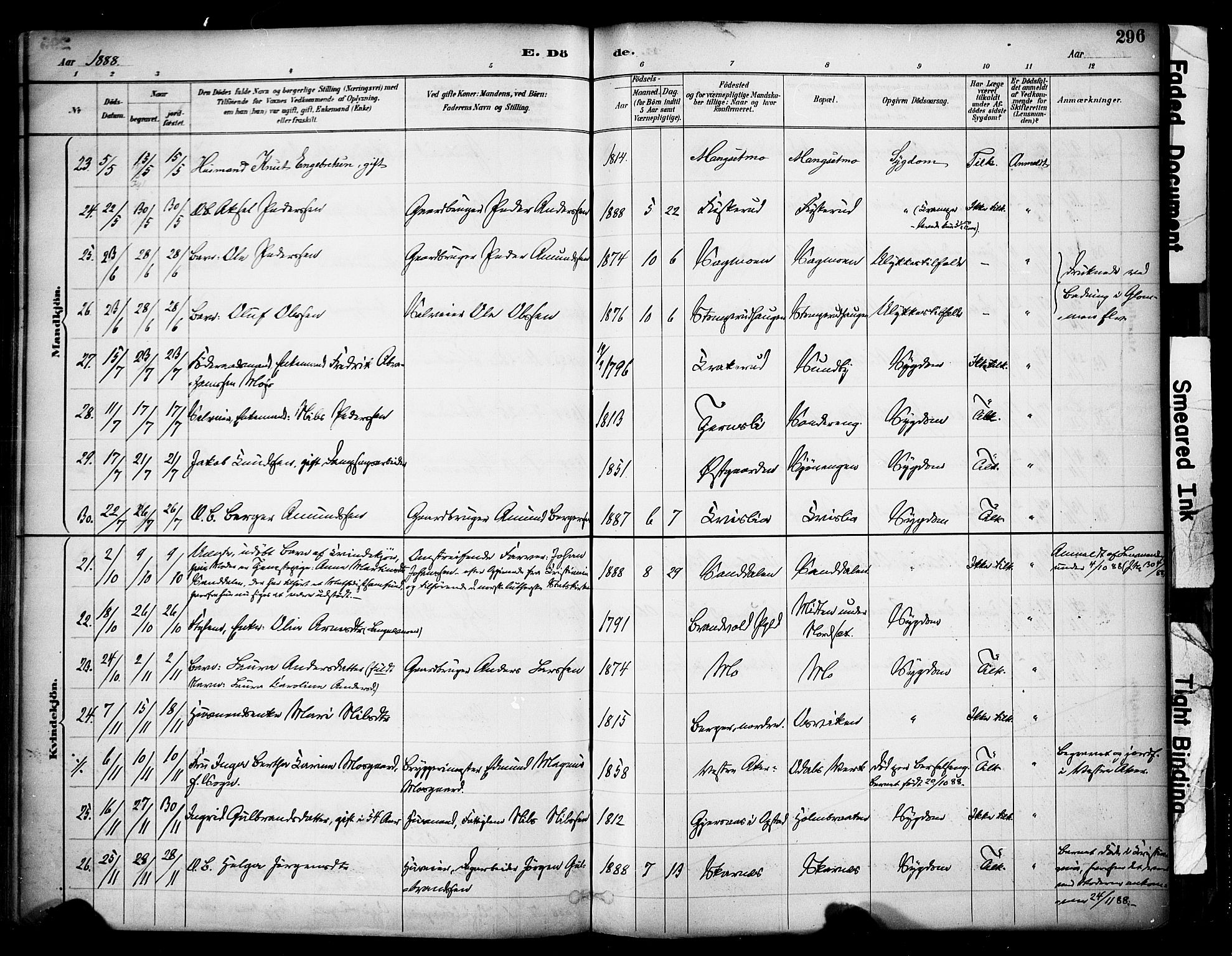 Sør-Odal prestekontor, AV/SAH-PREST-030/H/Ha/Haa/L0007: Parish register (official) no. 7, 1886-1925, p. 296