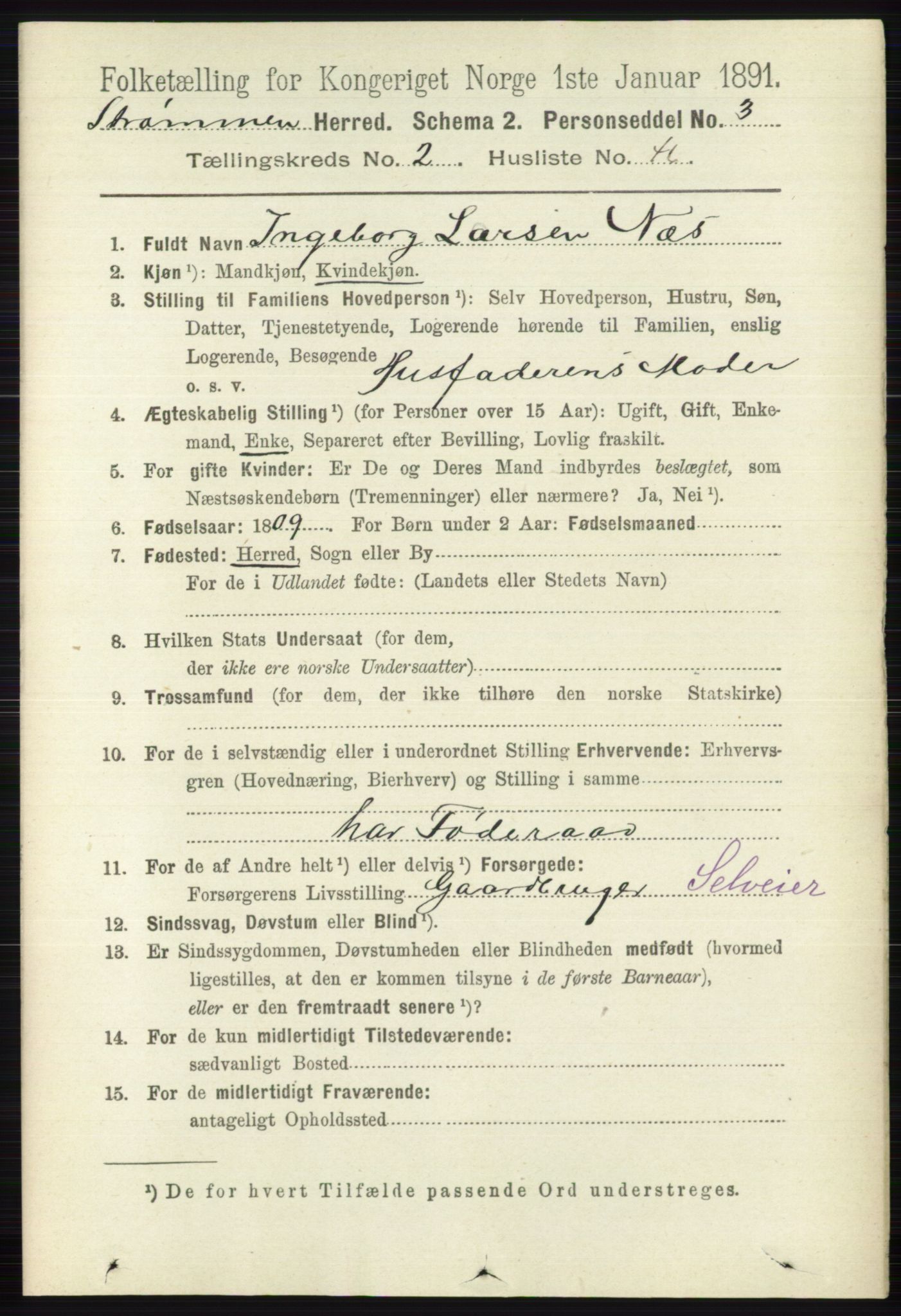 RA, 1891 census for 0711 Strømm, 1891, p. 967