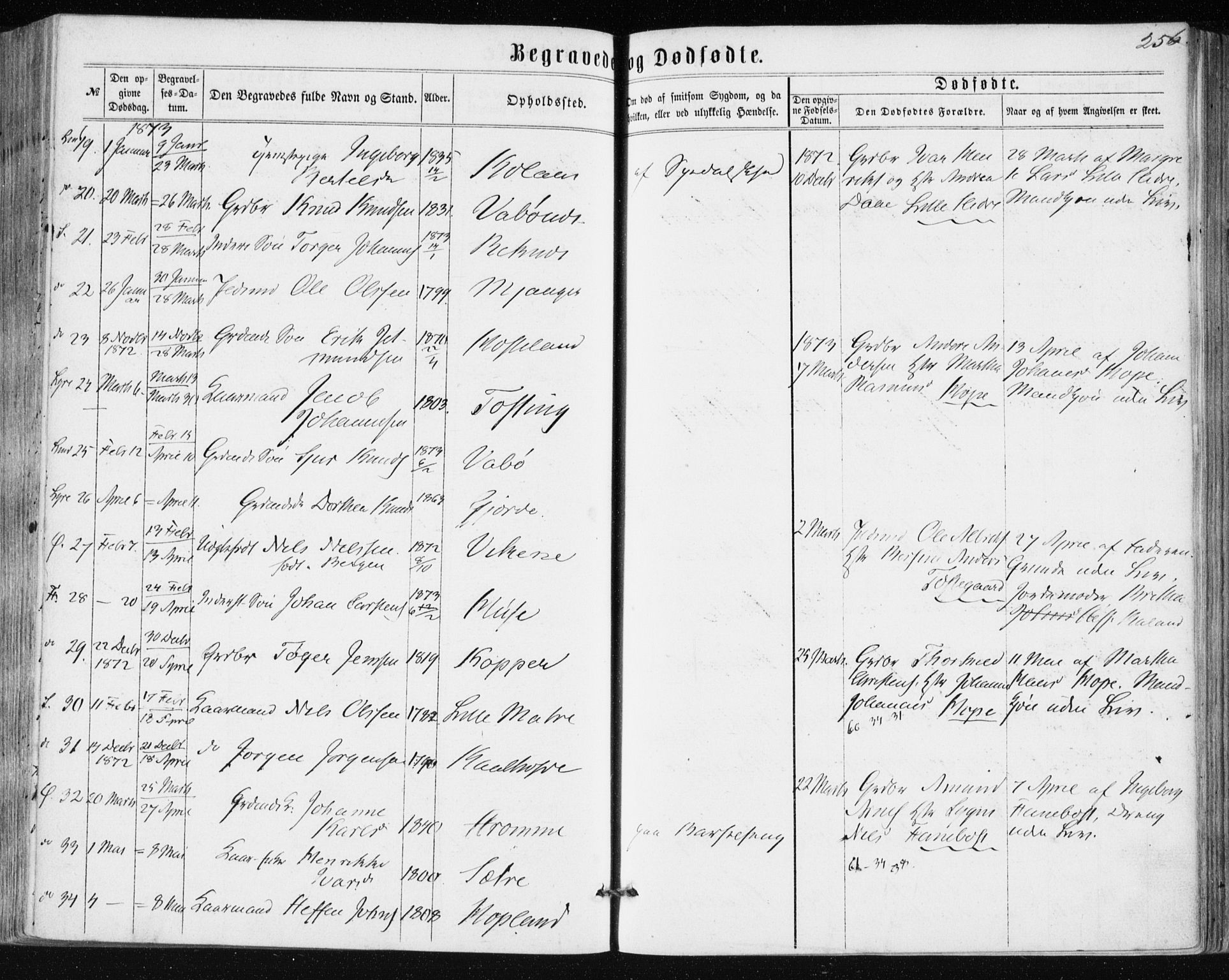 Lindås Sokneprestembete, AV/SAB-A-76701/H/Haa/Haaa/L0016: Parish register (official) no. A 16, 1863-1875, p. 256