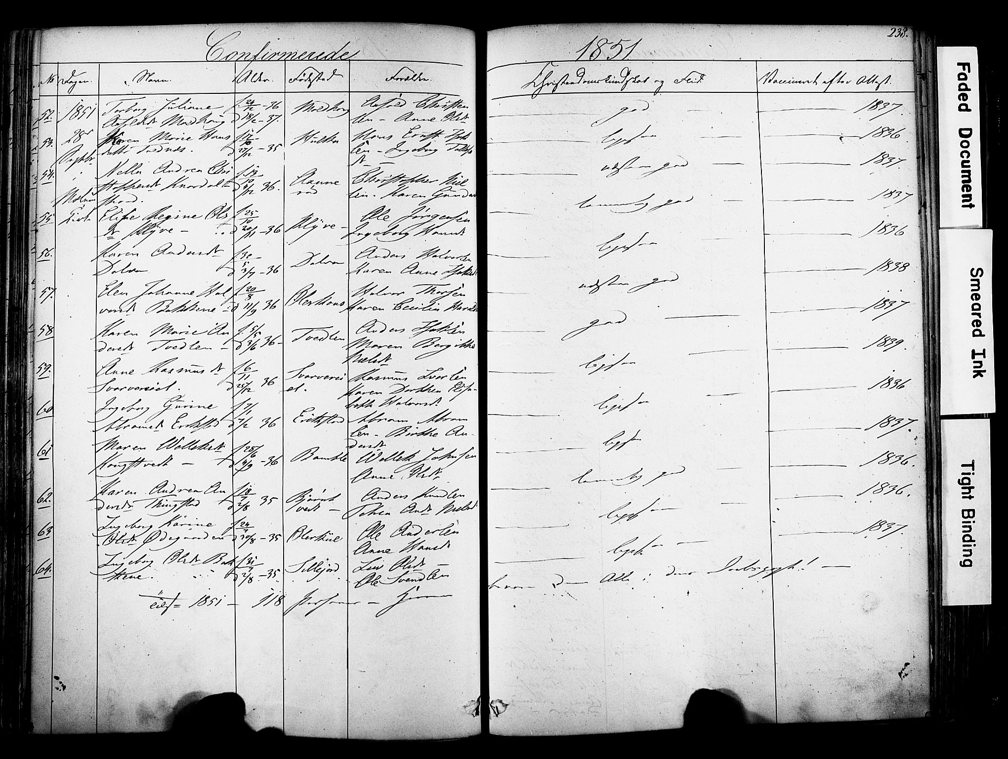Solum kirkebøker, SAKO/A-306/F/Fa/L0006: Parish register (official) no. I 6, 1844-1855, p. 238