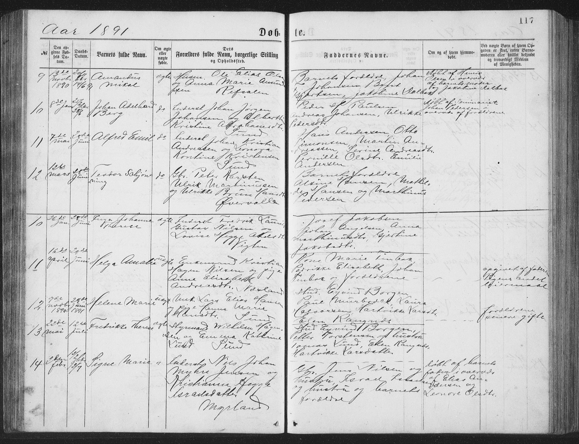 Ministerialprotokoller, klokkerbøker og fødselsregistre - Nordland, AV/SAT-A-1459/885/L1213: Parish register (copy) no. 885C02, 1874-1892, p. 117