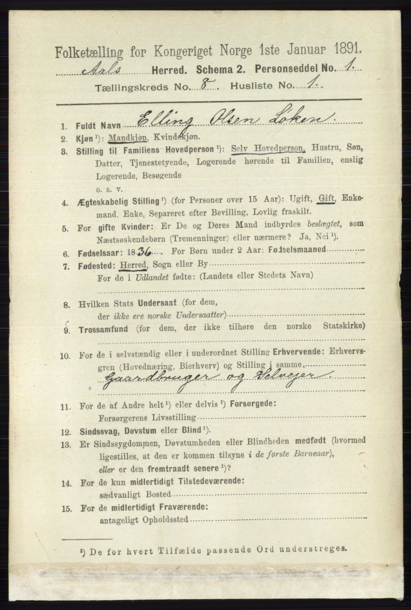 RA, 1891 census for 0619 Ål, 1891, p. 2093