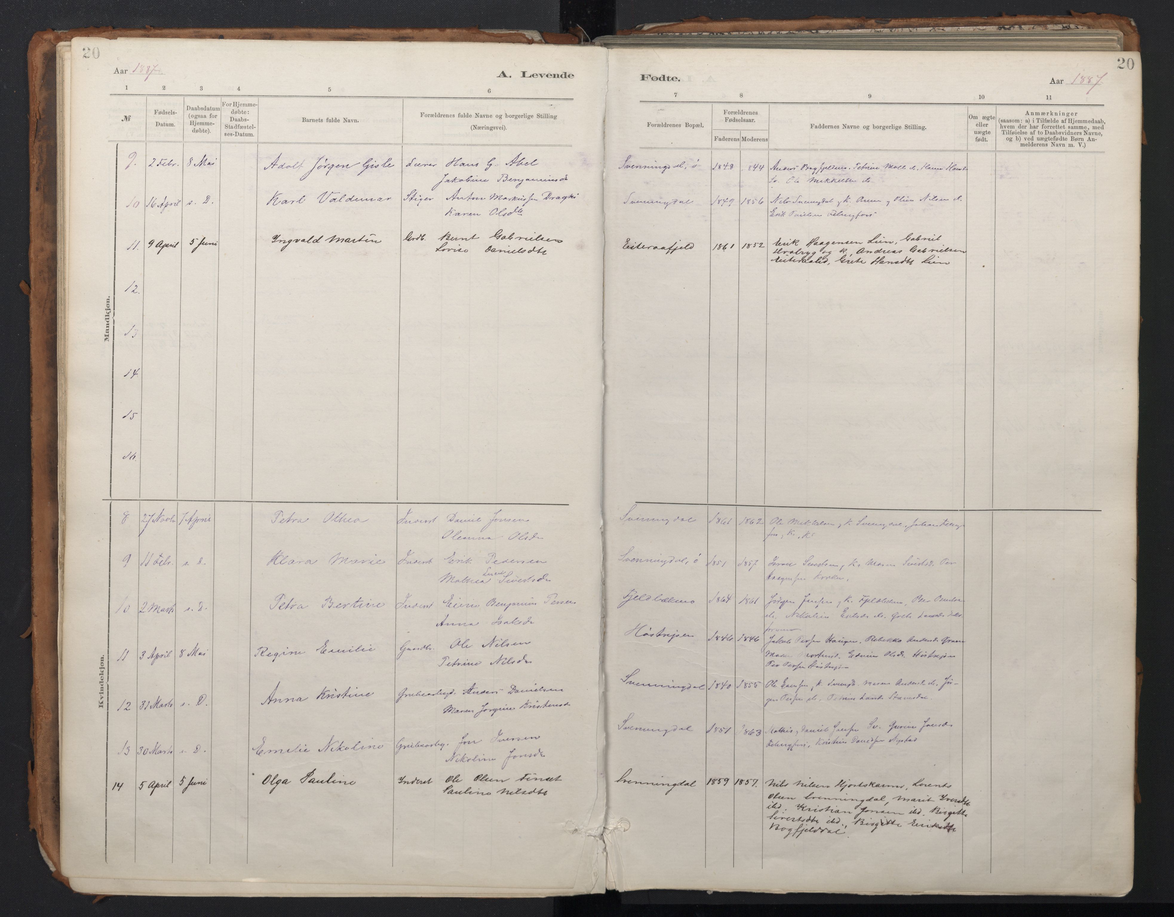 Ministerialprotokoller, klokkerbøker og fødselsregistre - Nordland, AV/SAT-A-1459/824/L0338: Parish register (official) no. 824A01, 1880-1915, p. 20