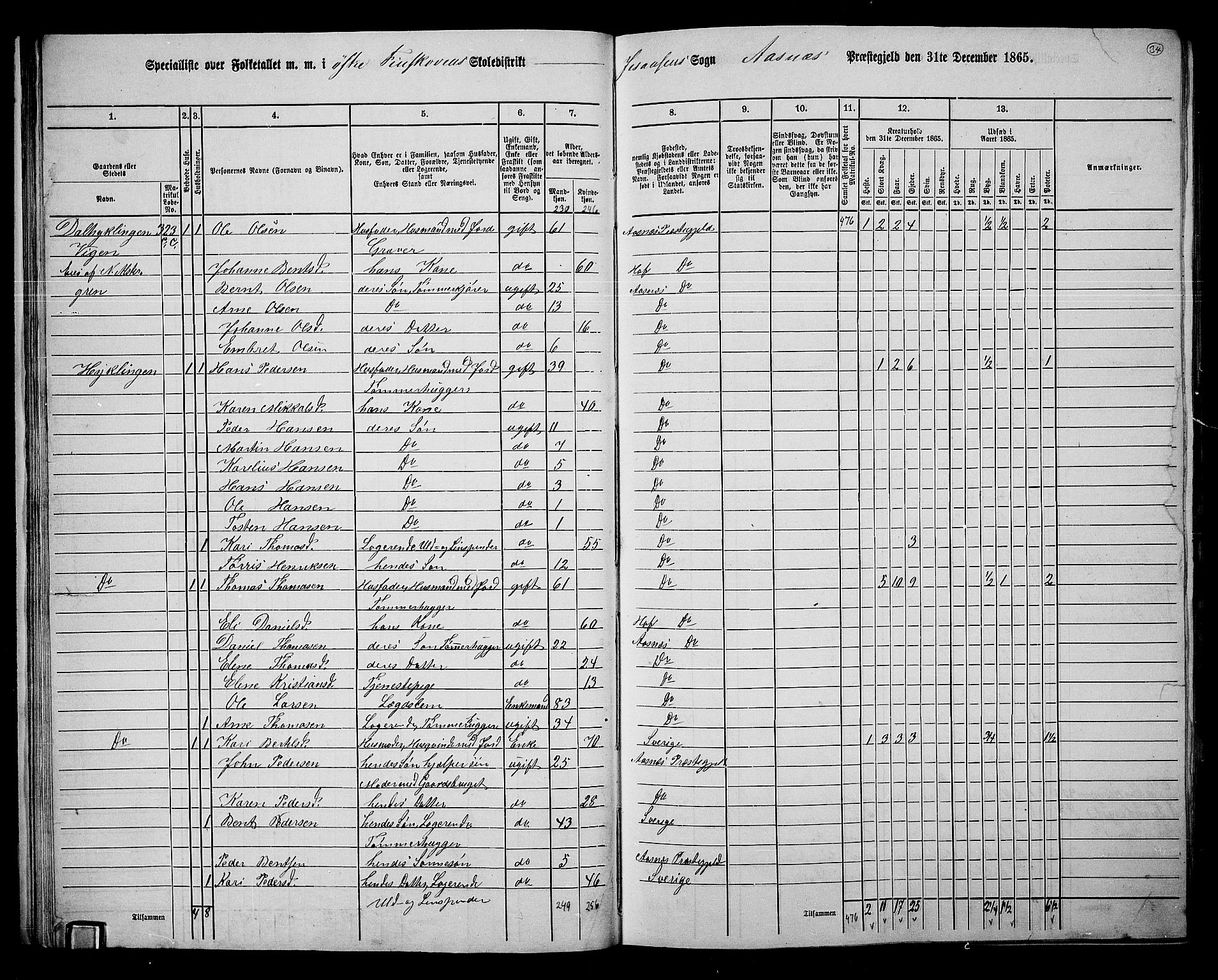 RA, 1865 census for Åsnes, 1865, p. 31